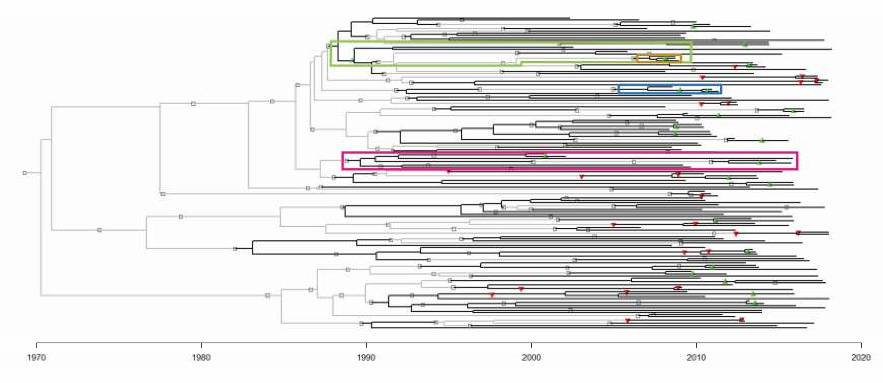 Microorganisms 08 00196 g003