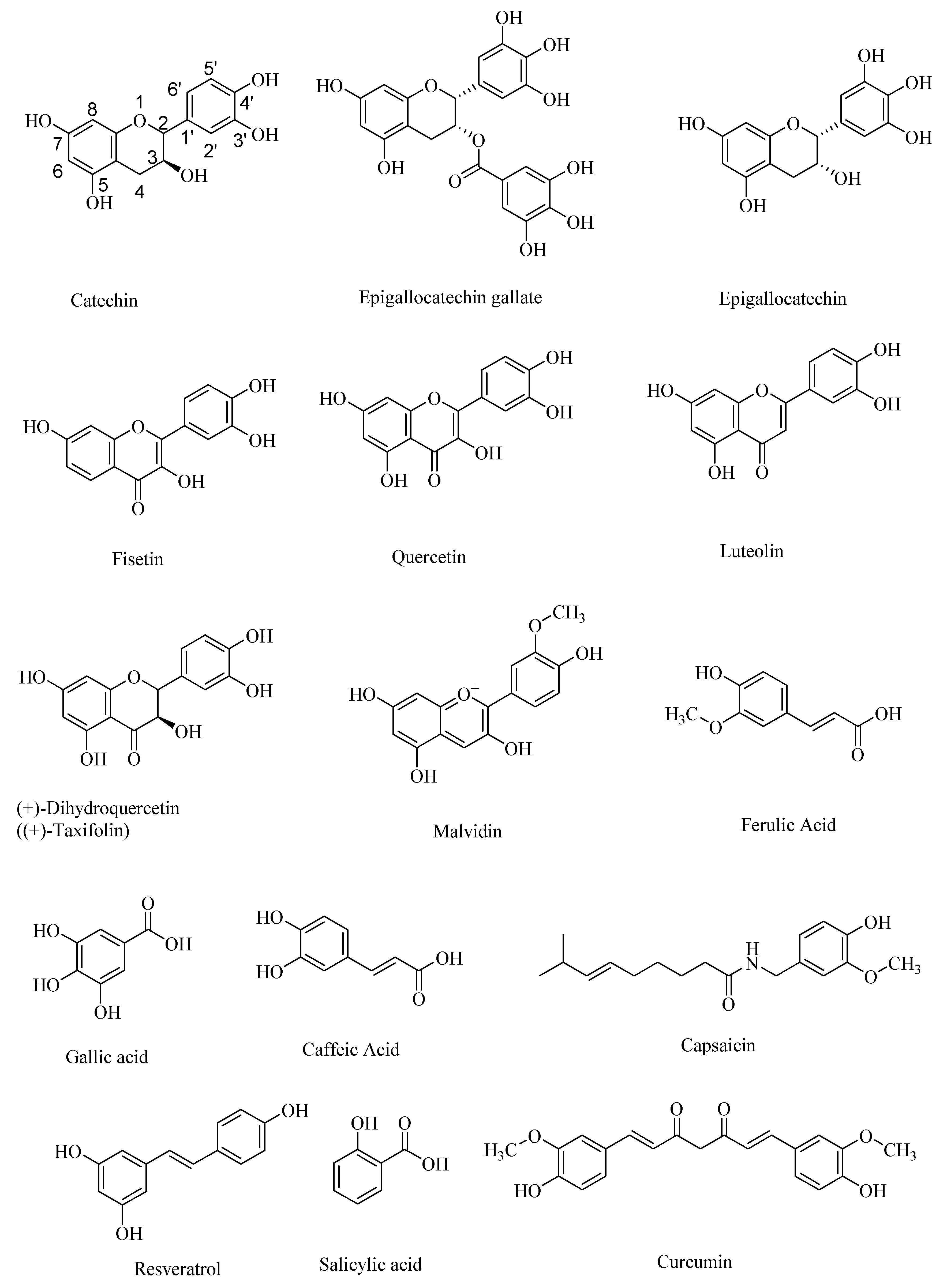 Microorganisms 08 00199 g001 Microorganisms 08 00199 g001