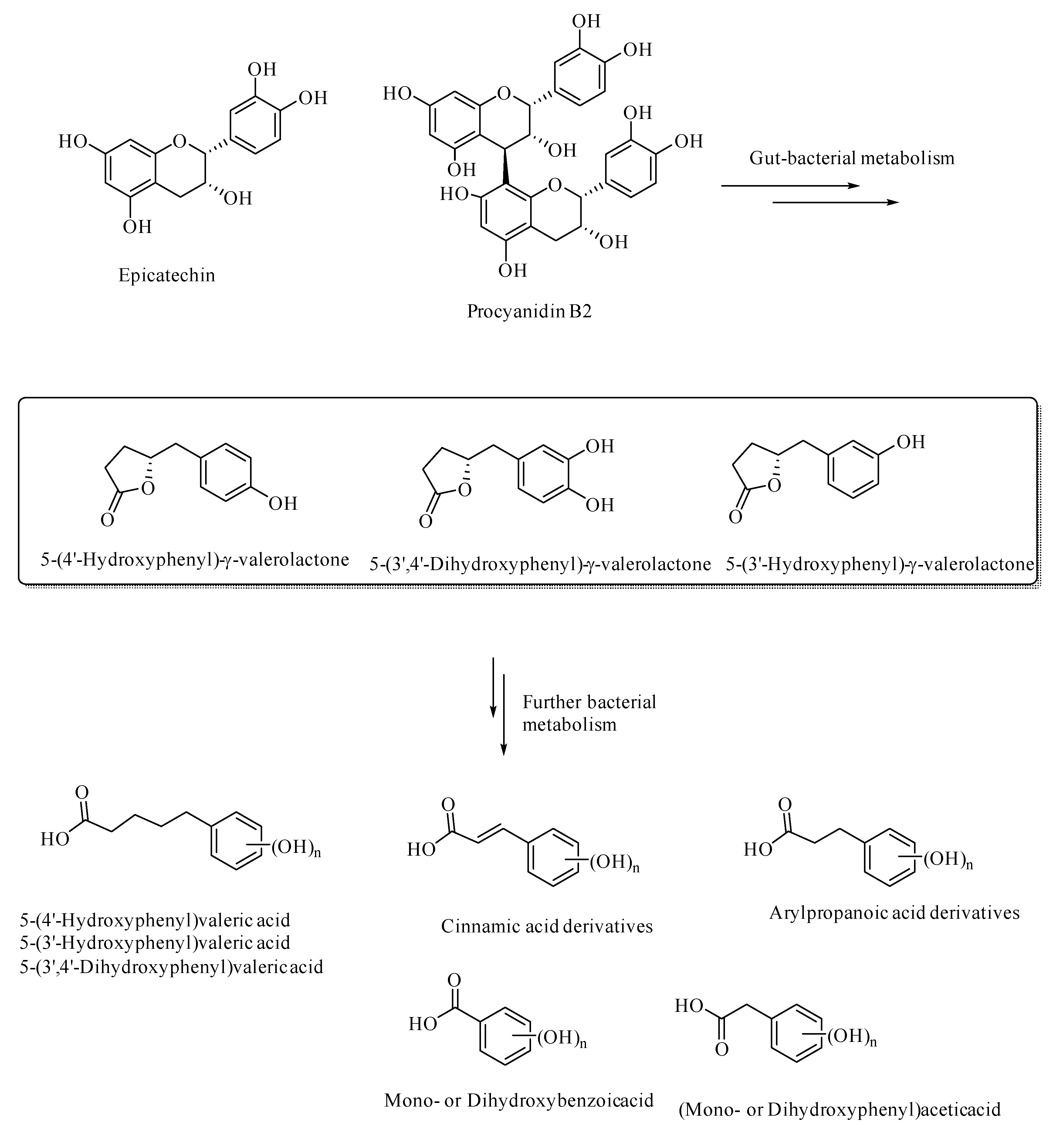 Microorganisms 08 00199 g003 Microorganisms 08 00199 g003