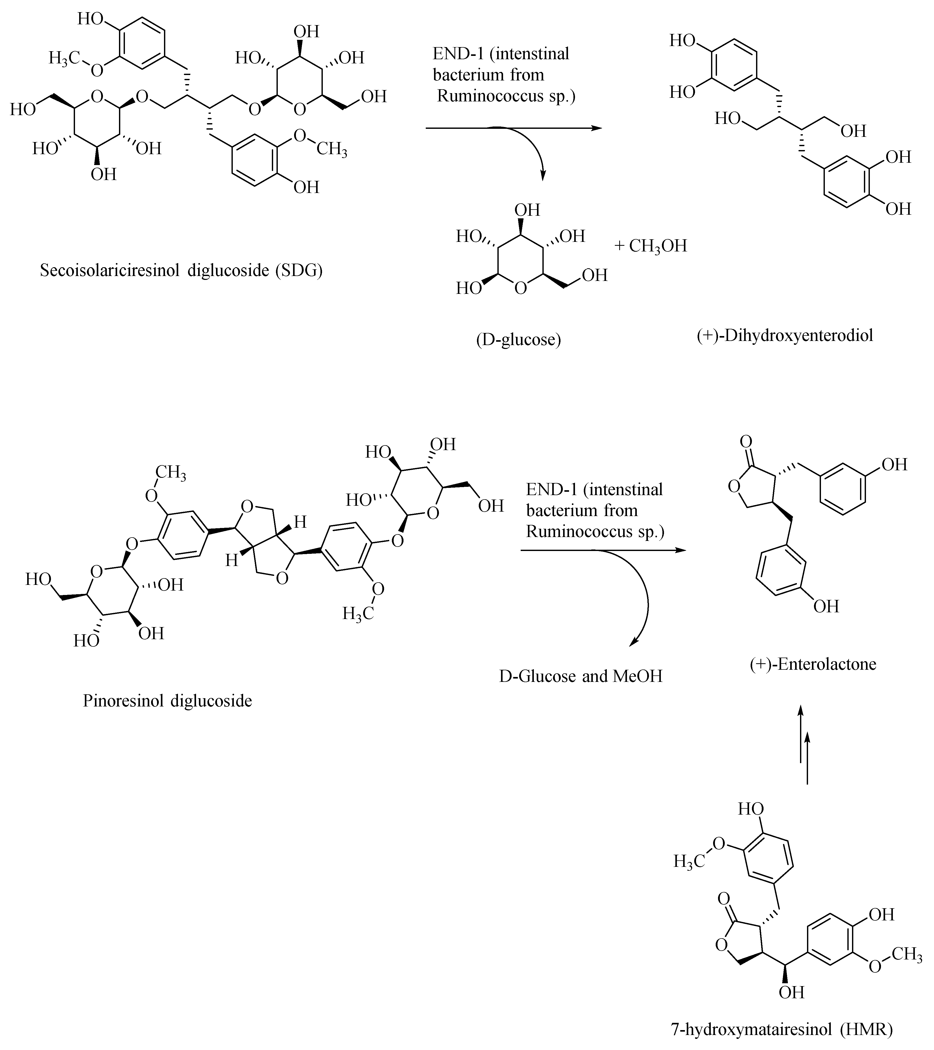 Microorganisms 08 00199 g004 Microorganisms 08 00199 g004