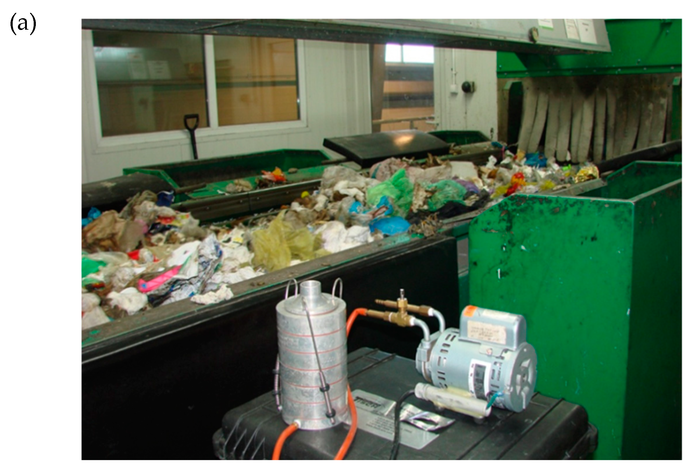 Microorganisms 08 00202 g001a