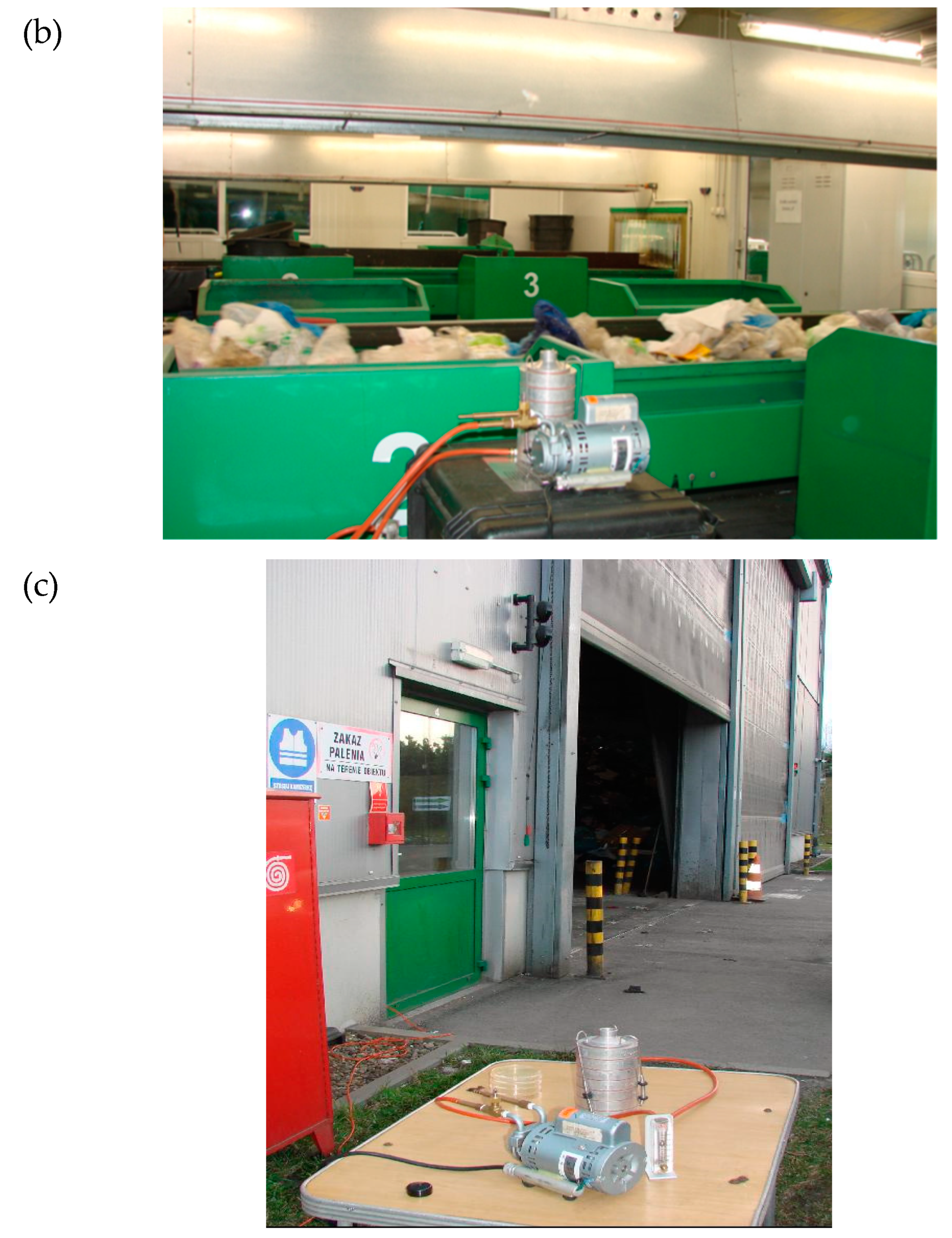 Microorganisms 08 00202 g001b