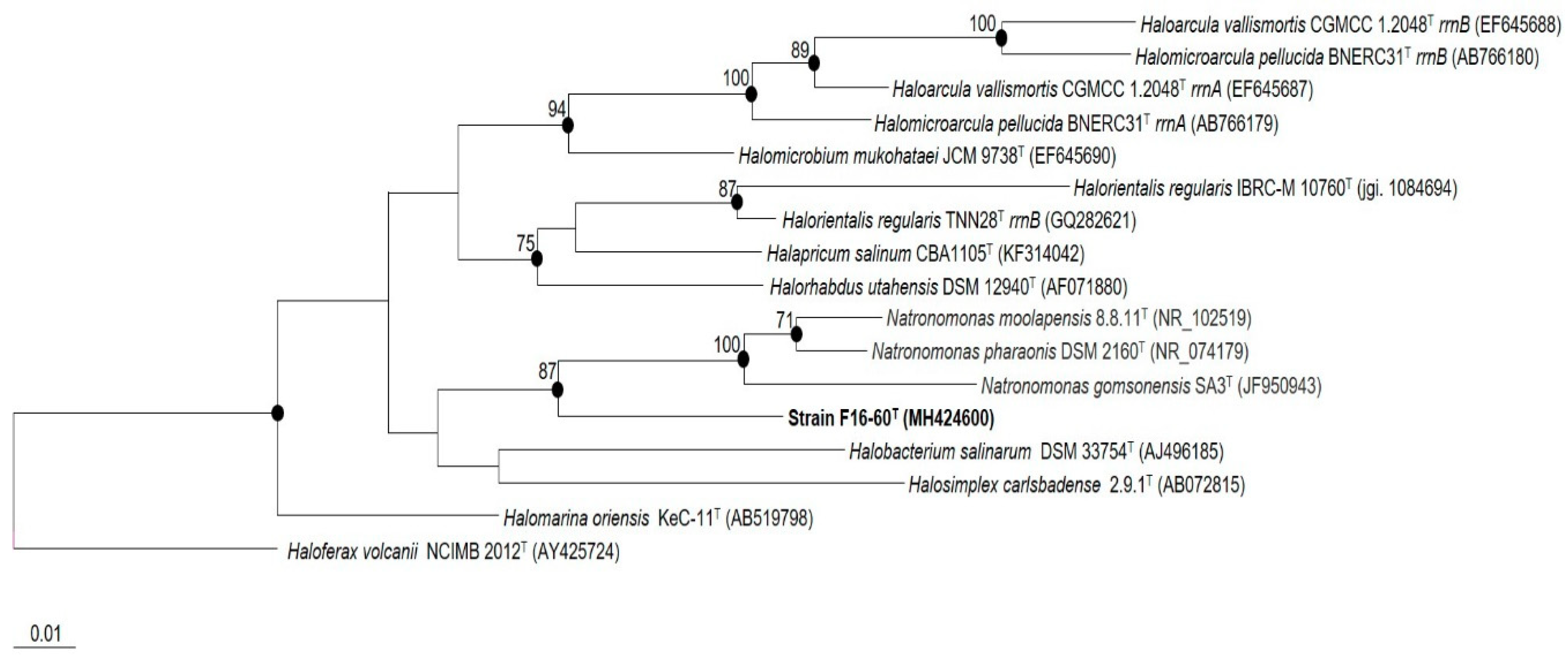 Microorganisms 08 00206 g001