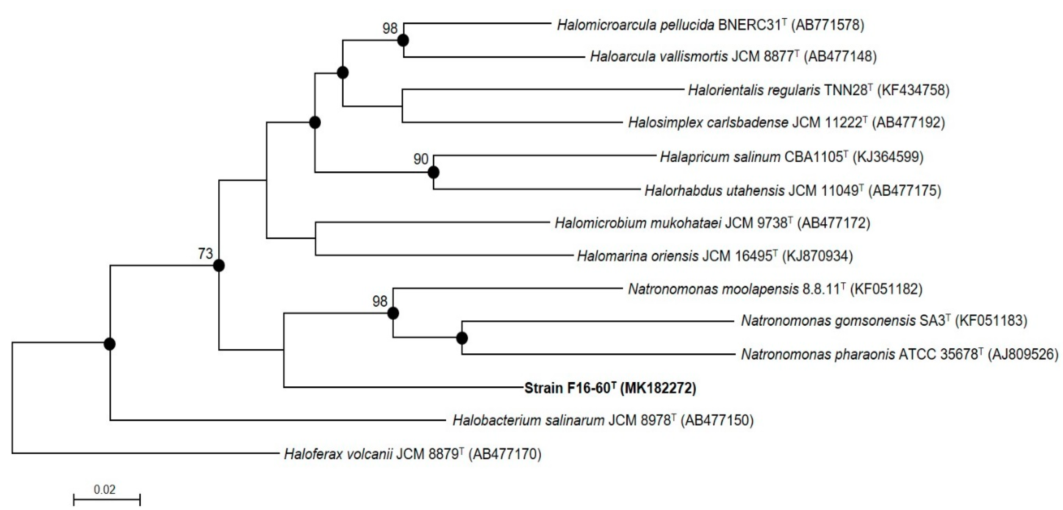 Microorganisms 08 00206 g002