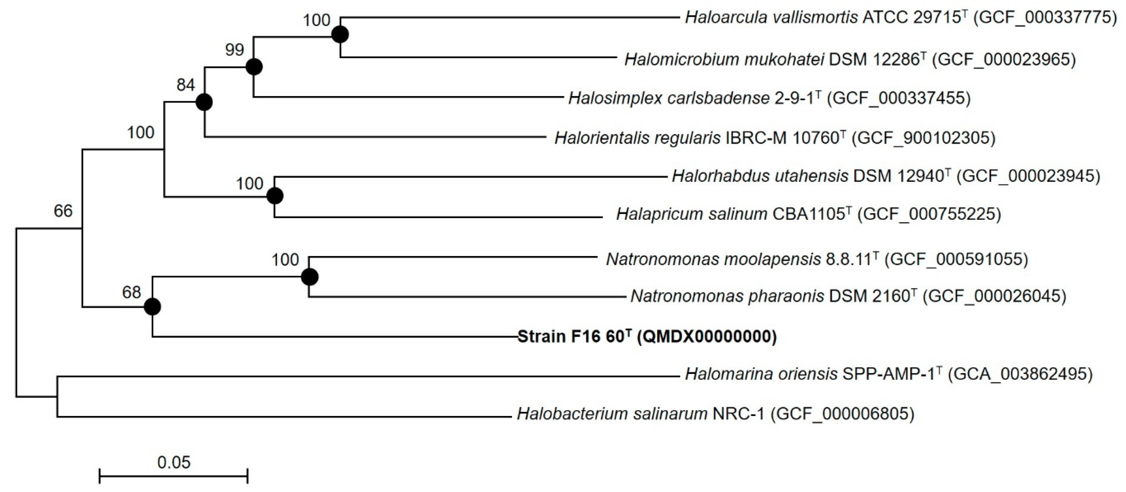 Microorganisms 08 00206 g003