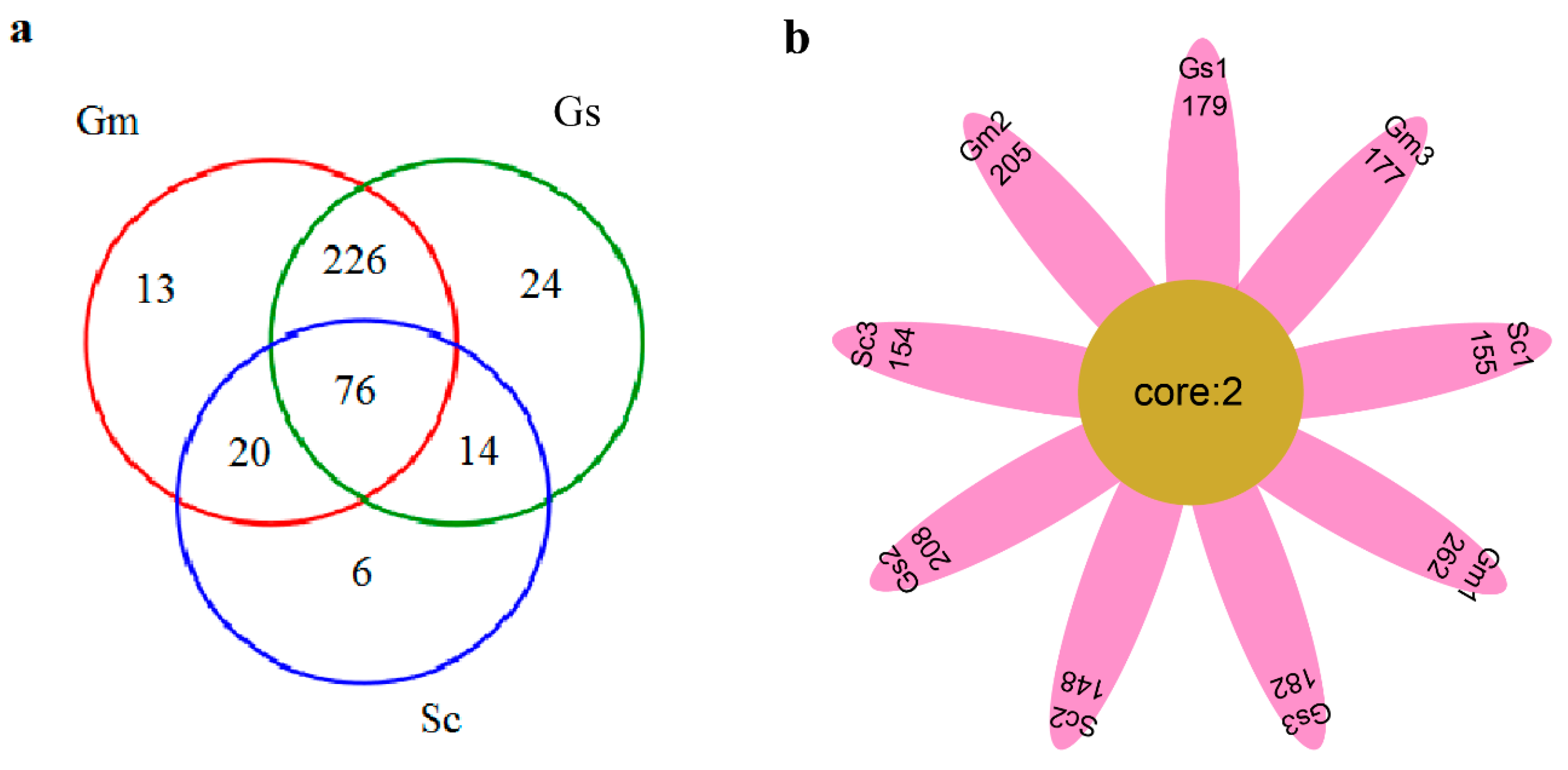 Microorganisms 08 00207 g004