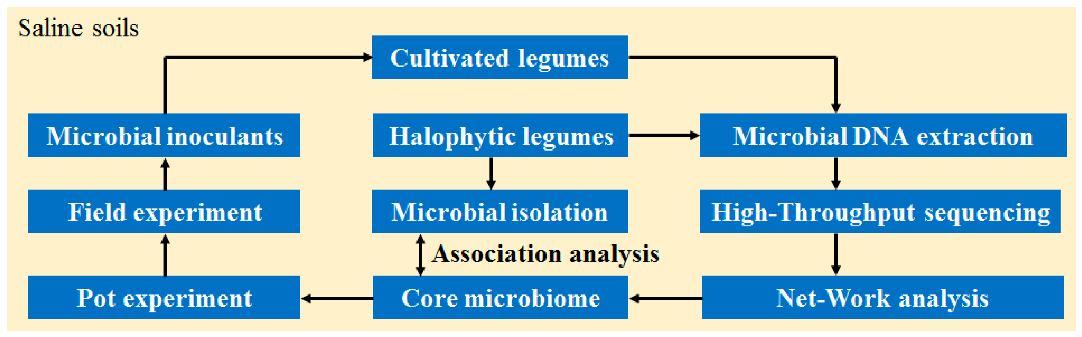 Microorganisms 08 00207 g007