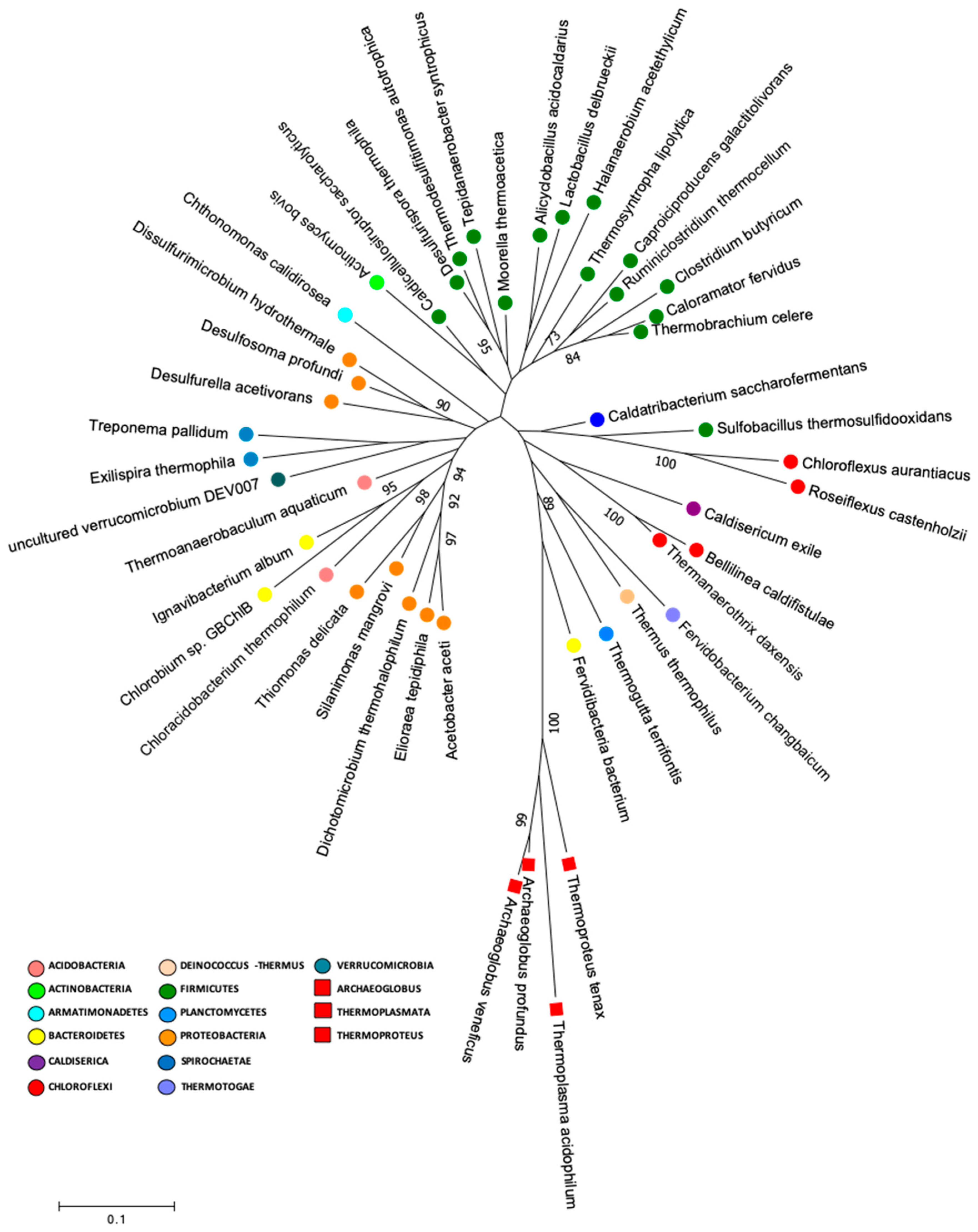 Microorganisms 08 00208 g006 Microorganisms 08 00208 g006