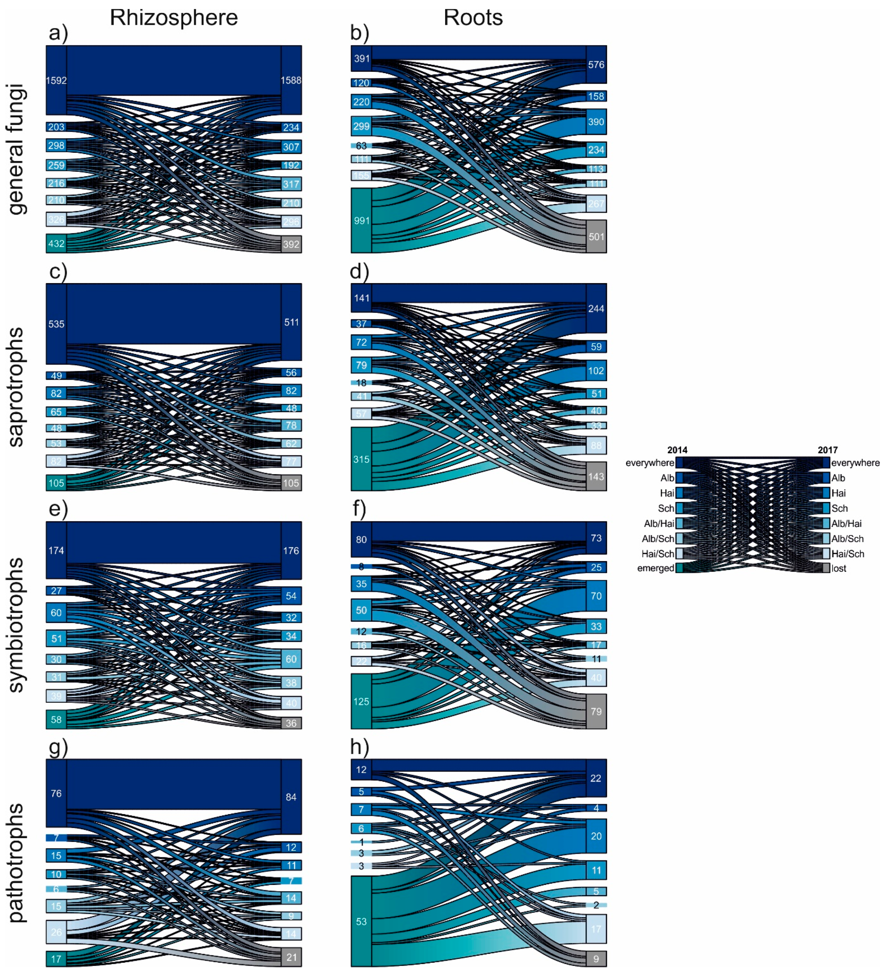 Microorganisms 08 00210 g004