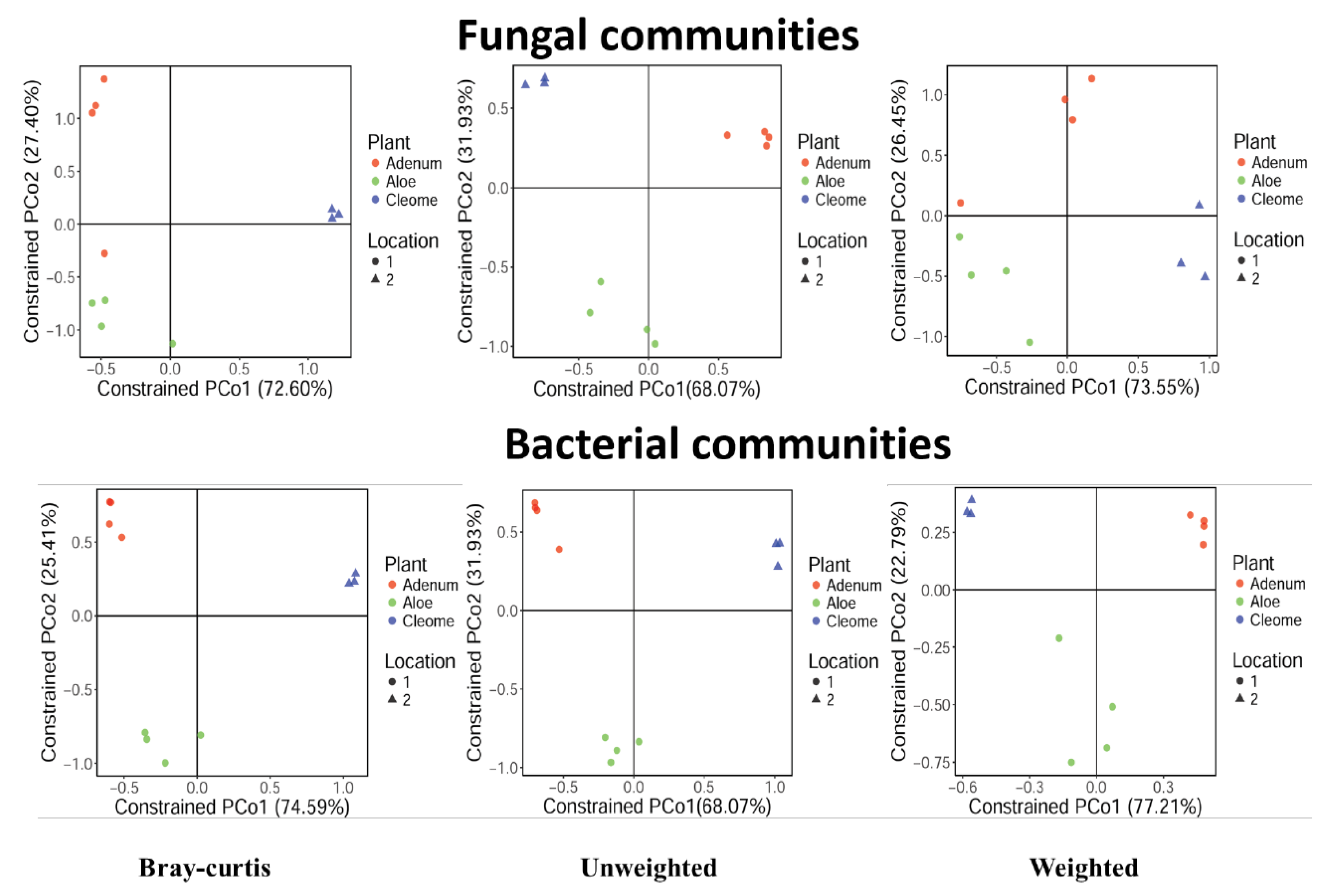 Microorganisms 08 00213 g003
