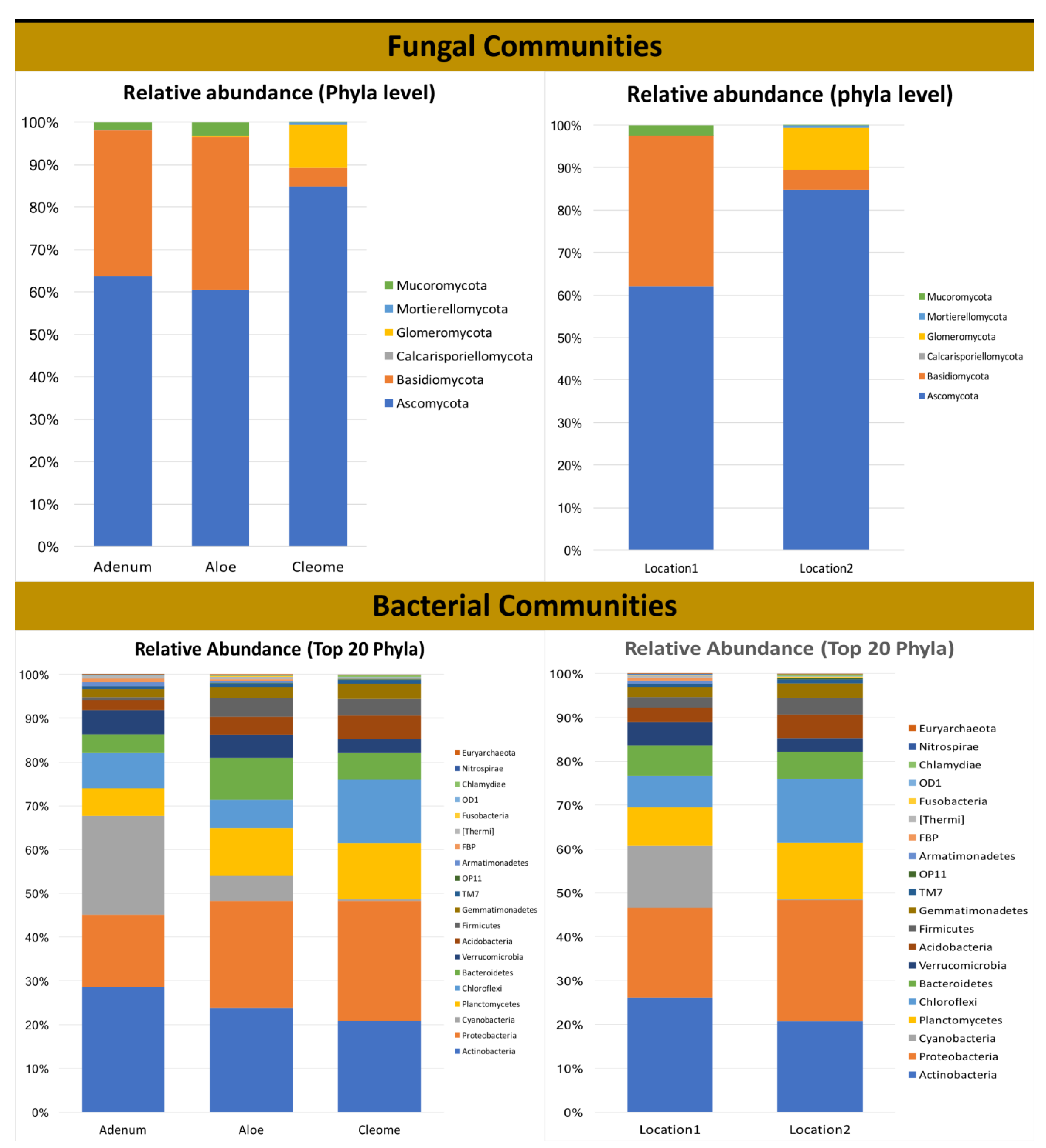 Microorganisms 08 00213 g004