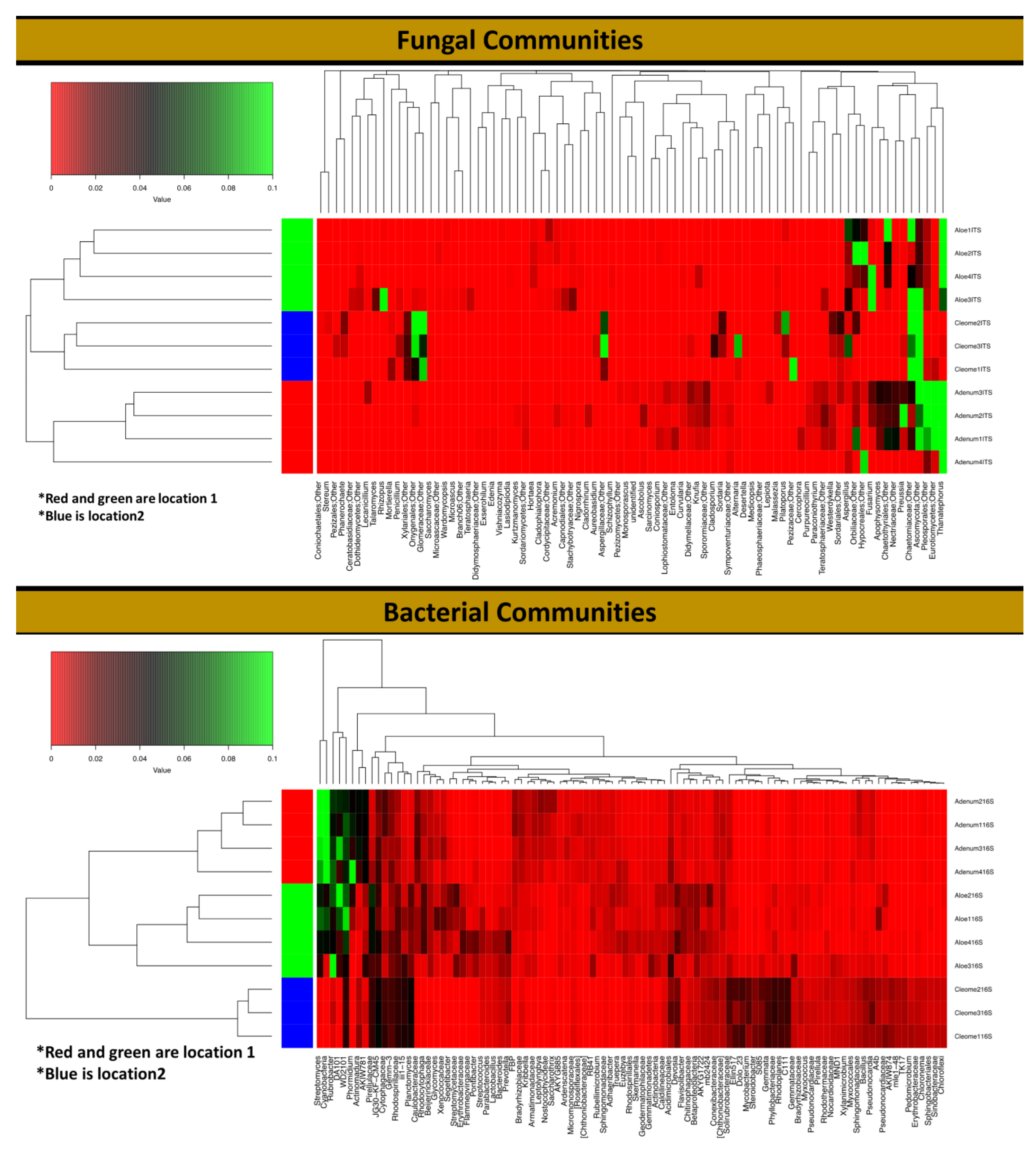 Microorganisms 08 00213 g005