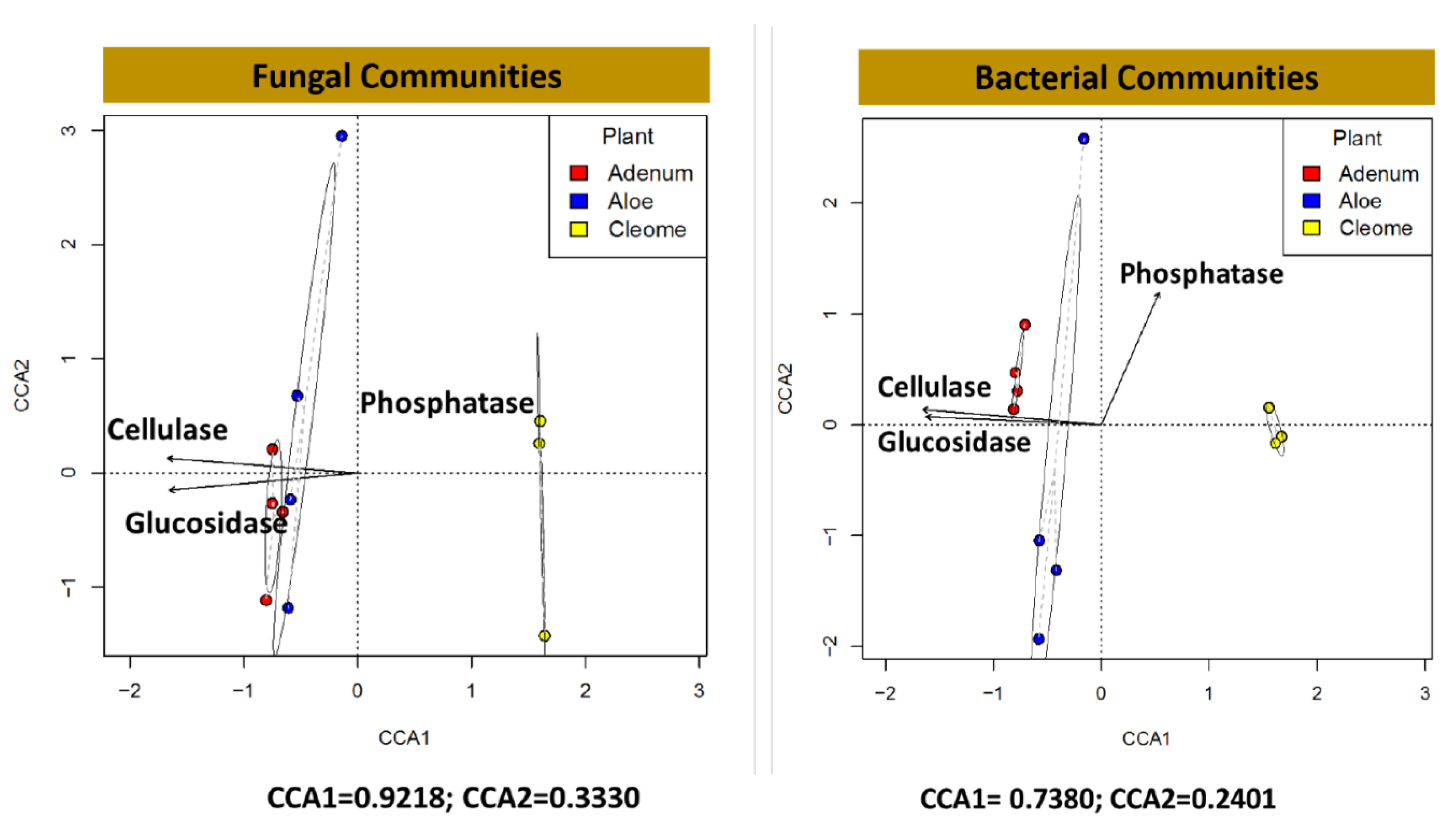 Microorganisms 08 00213 g006