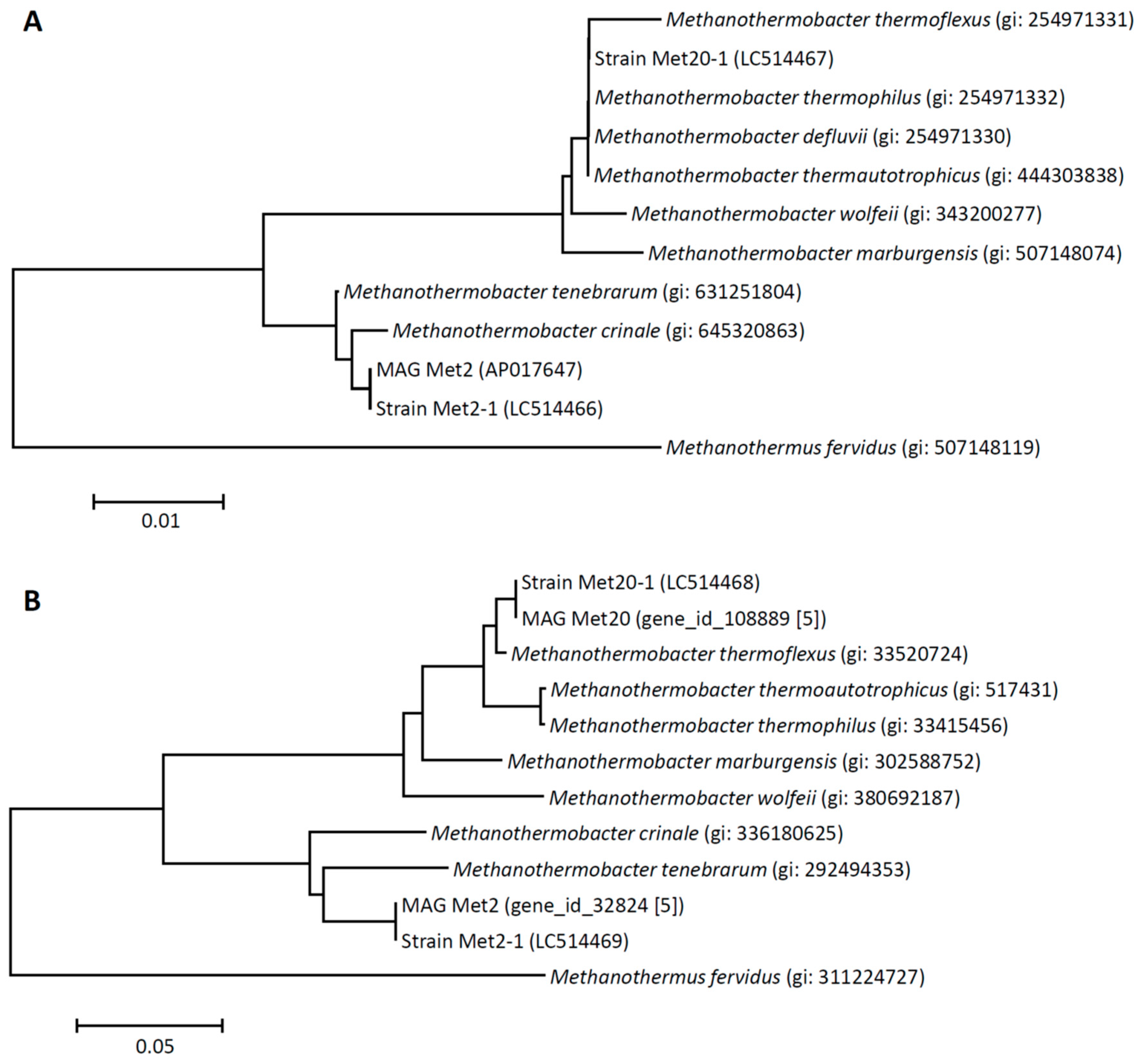 Microorganisms 08 00217 g002