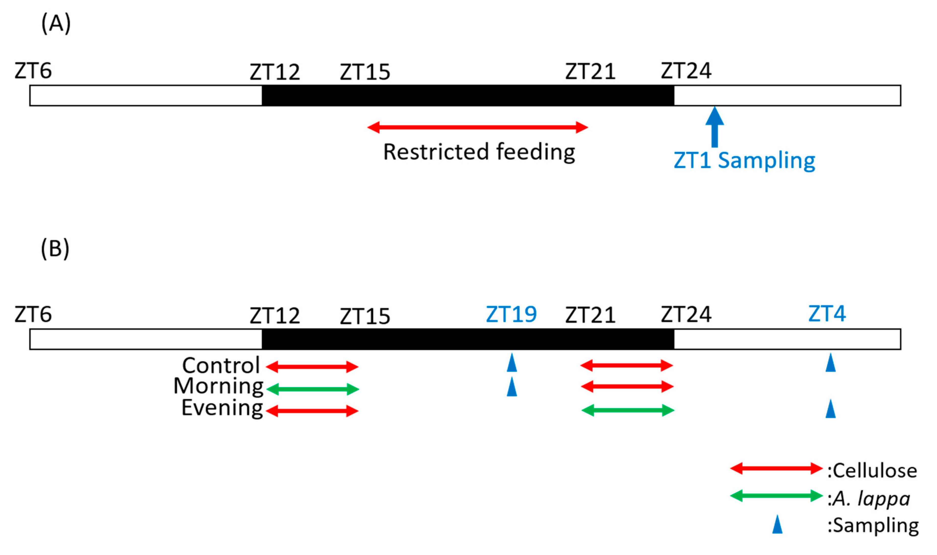Microorganisms 08 00220 g001