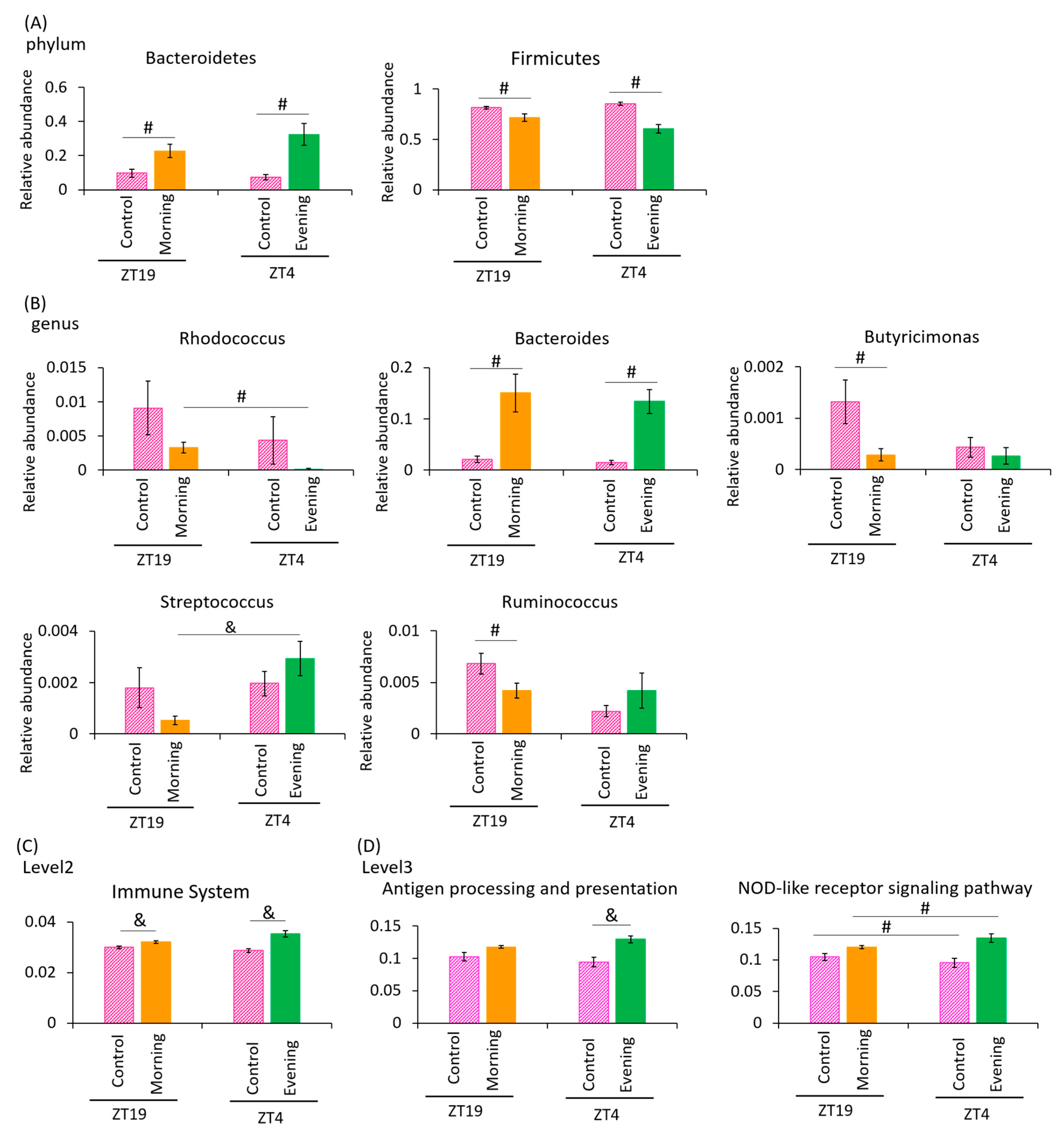 Microorganisms 08 00220 g005