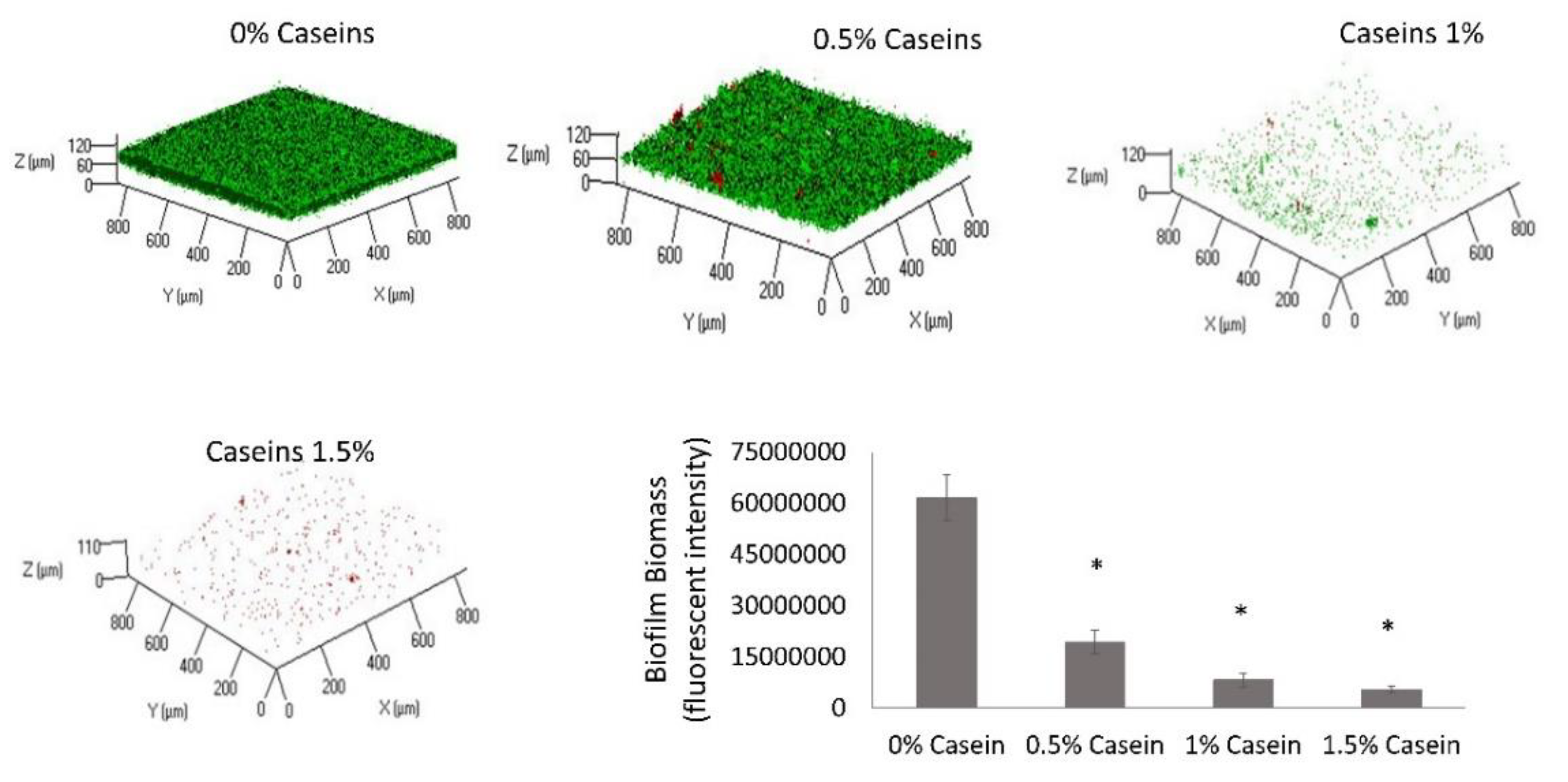 Microorganisms 08 00221 g006