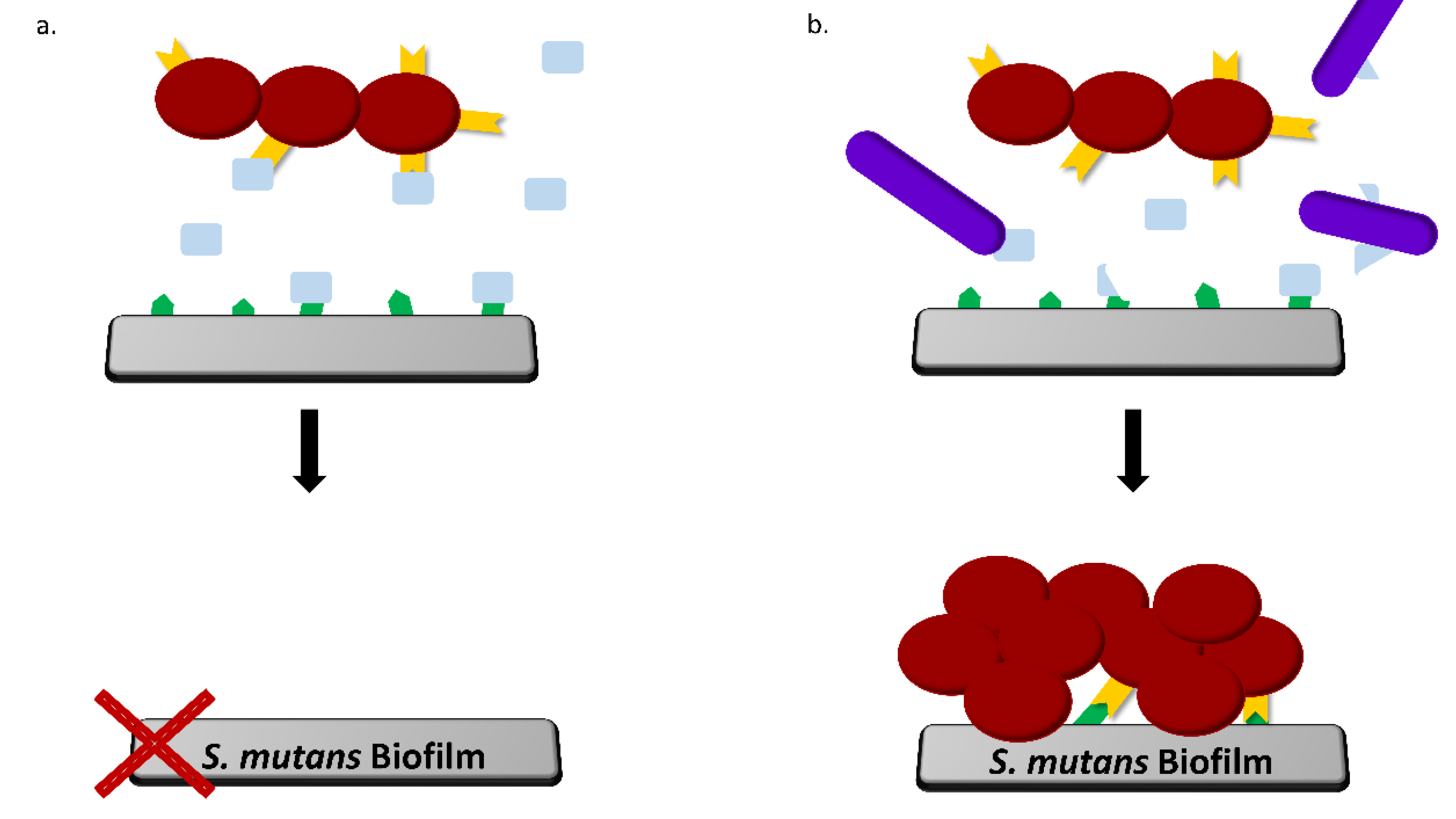 Microorganisms 08 00221 g007