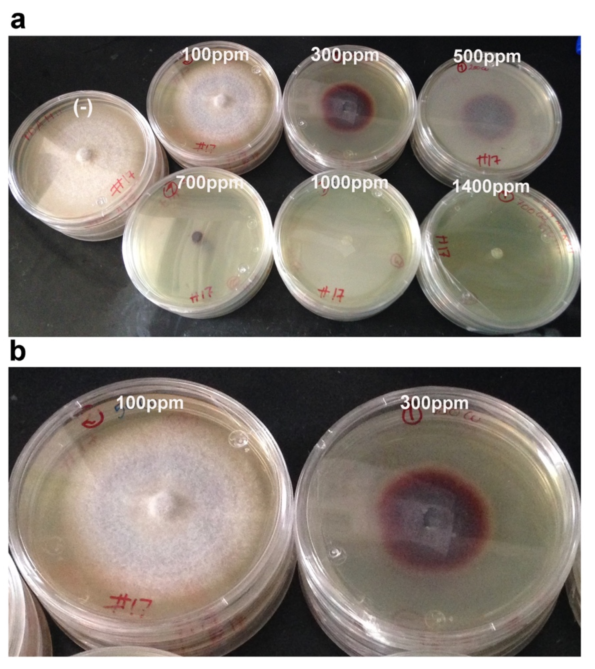 Microorganisms 08 00226 g003 Microorganisms 08 00226 g003