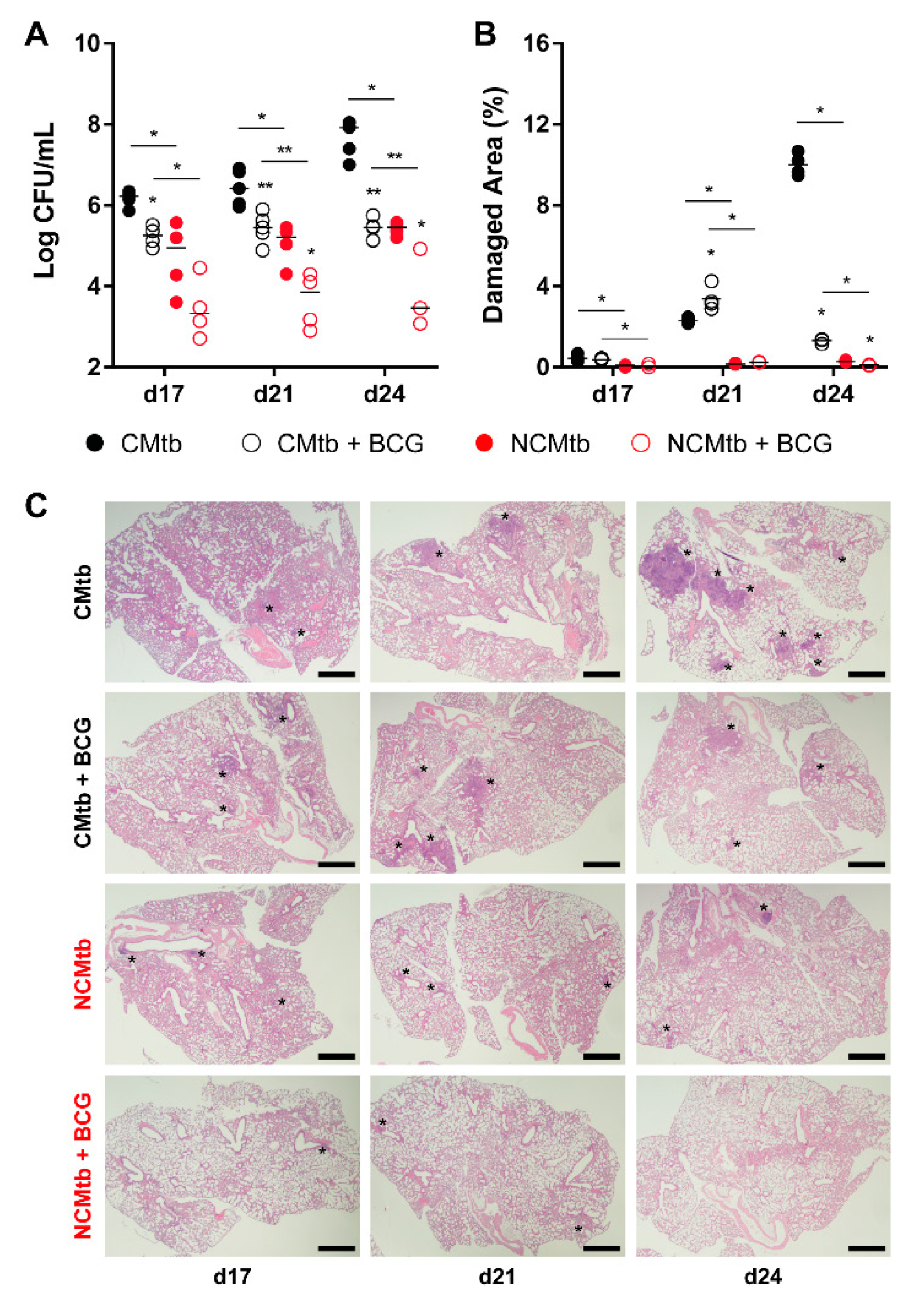 Microorganisms 08 00228 g003