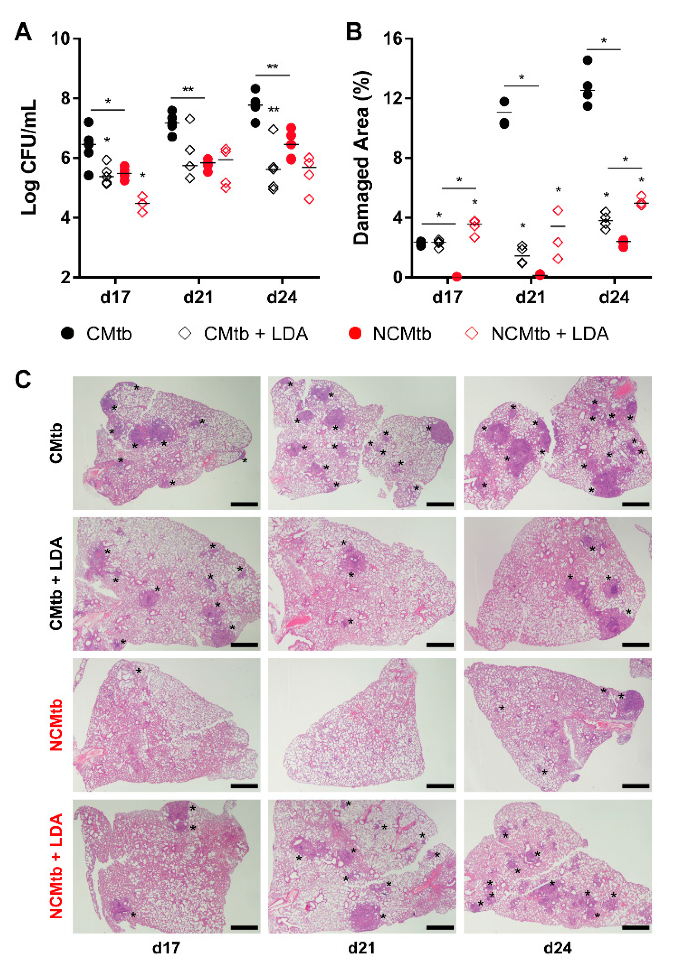 Microorganisms 08 00228 g005