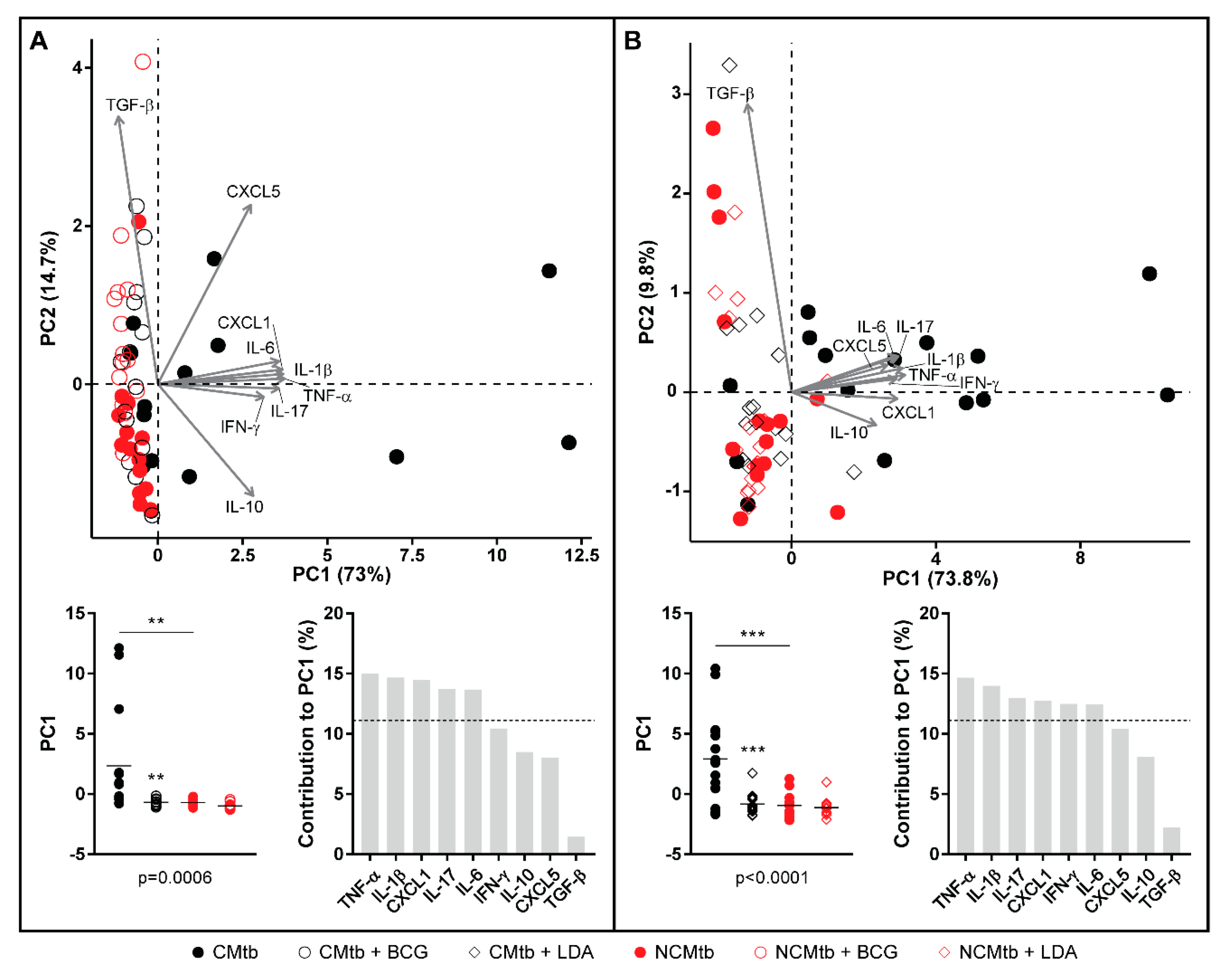 Microorganisms 08 00228 g007