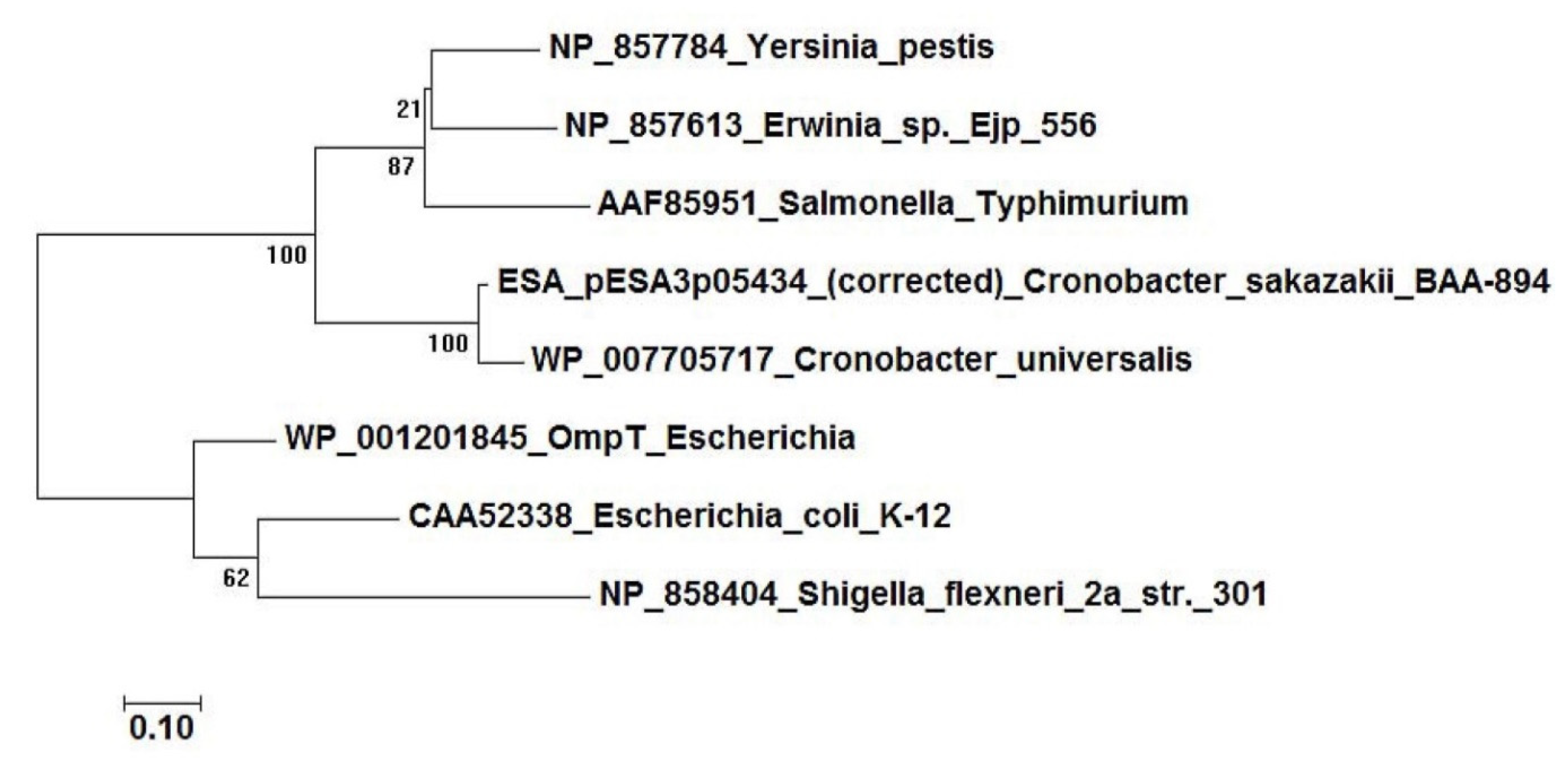 Microorganisms 08 00229 g002