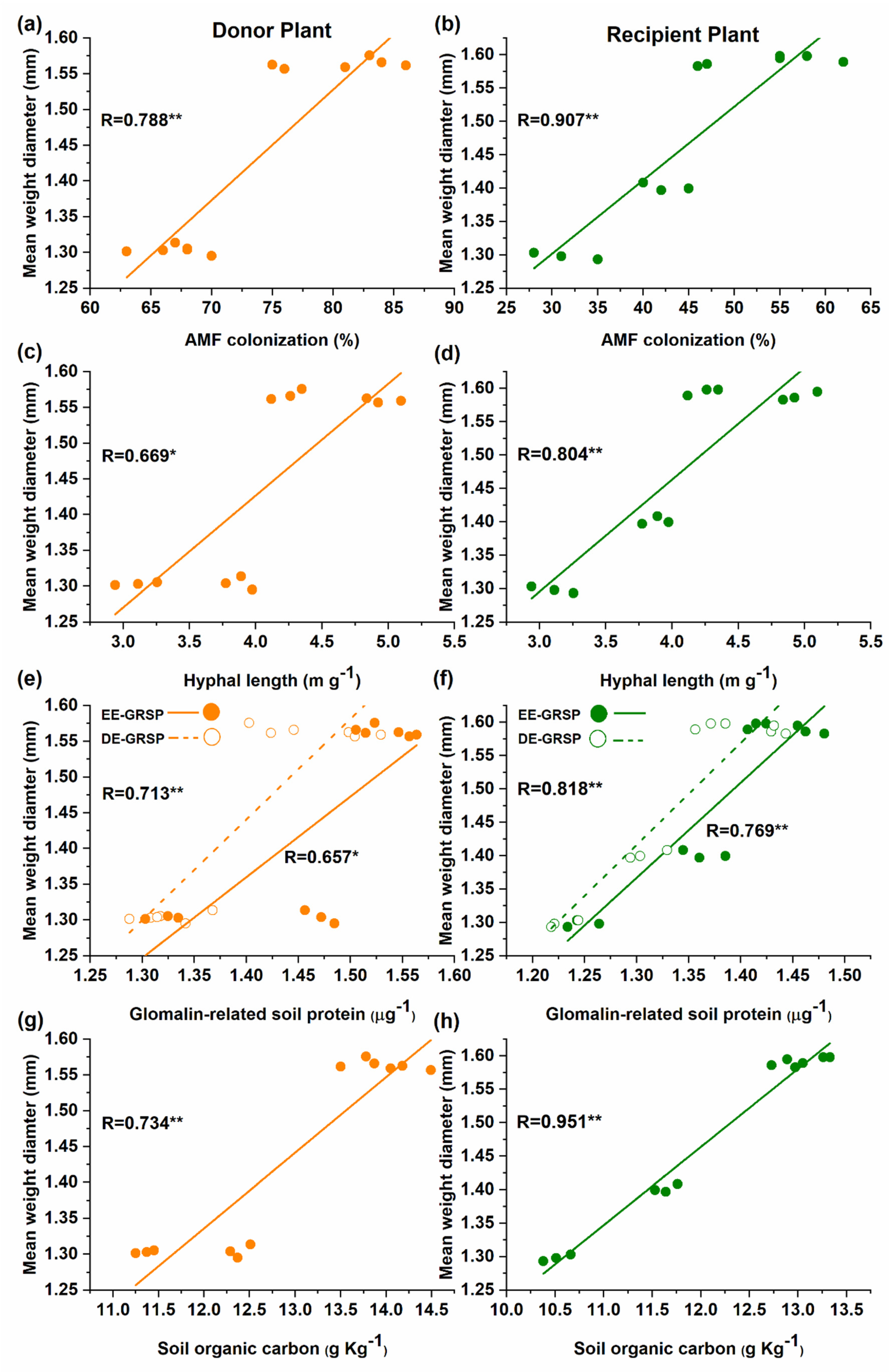 Microorganisms 08 00230 g005