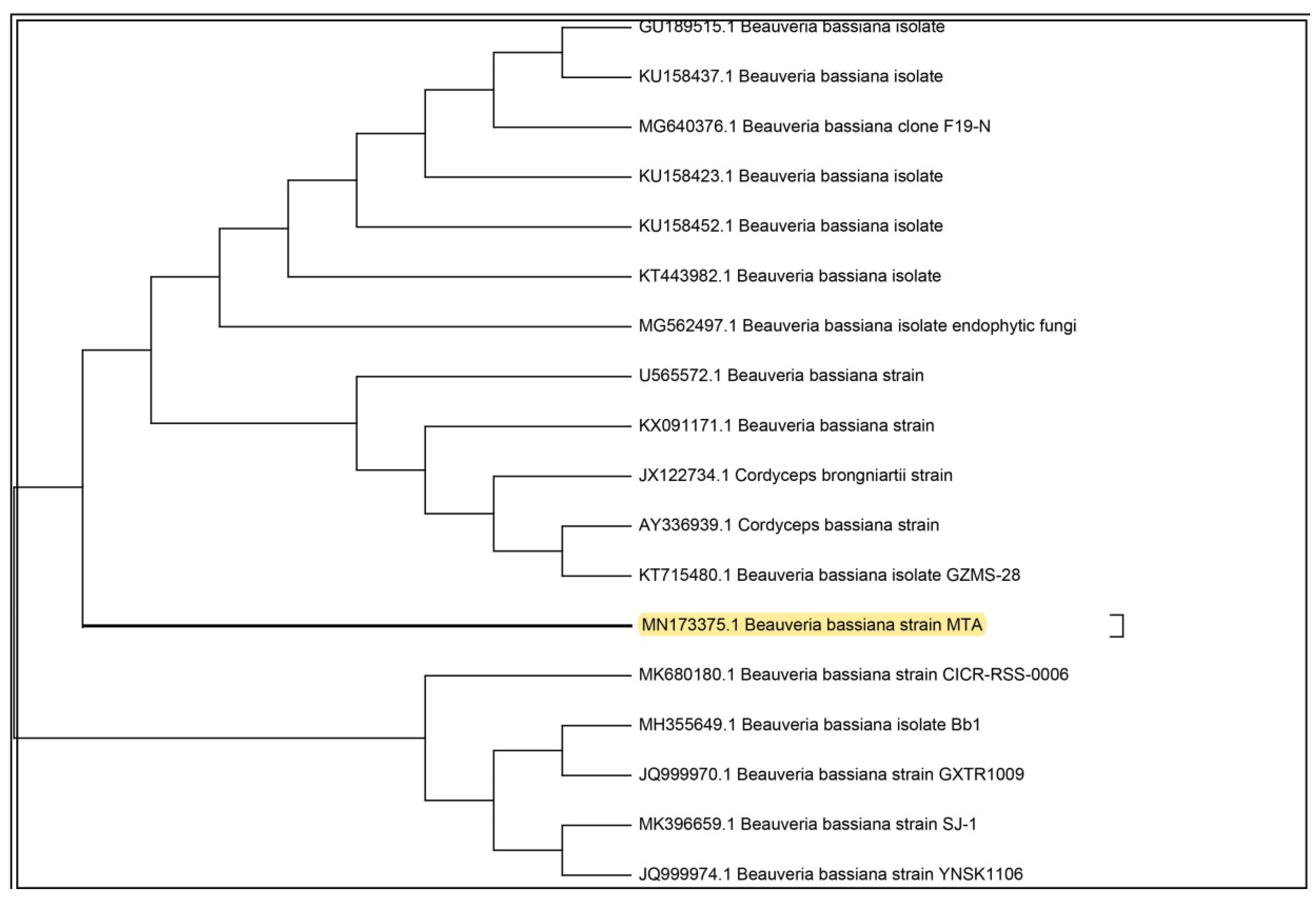 Microorganisms 08 00232 g002