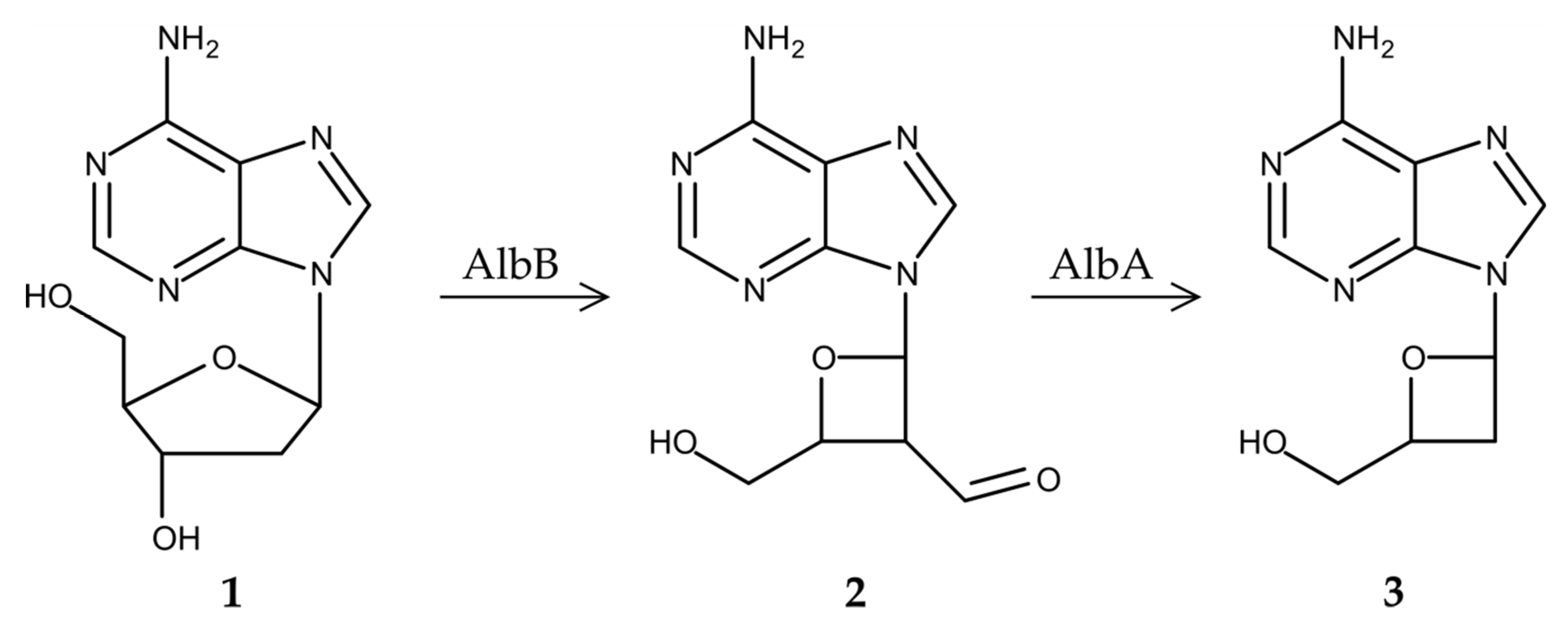 Microorganisms 08 00237 g003