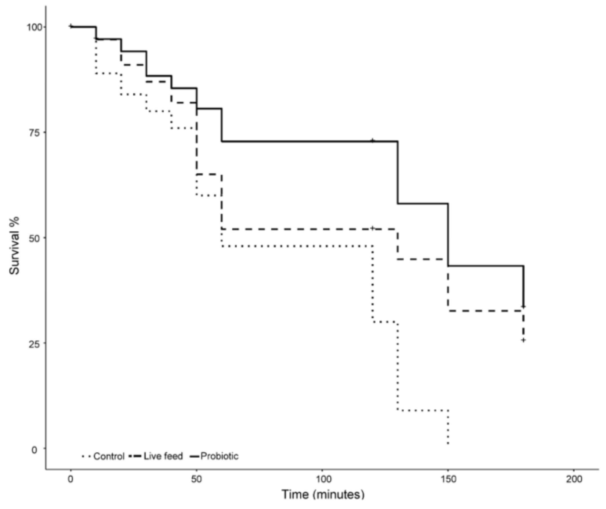 Microorganisms 08 00238 g005