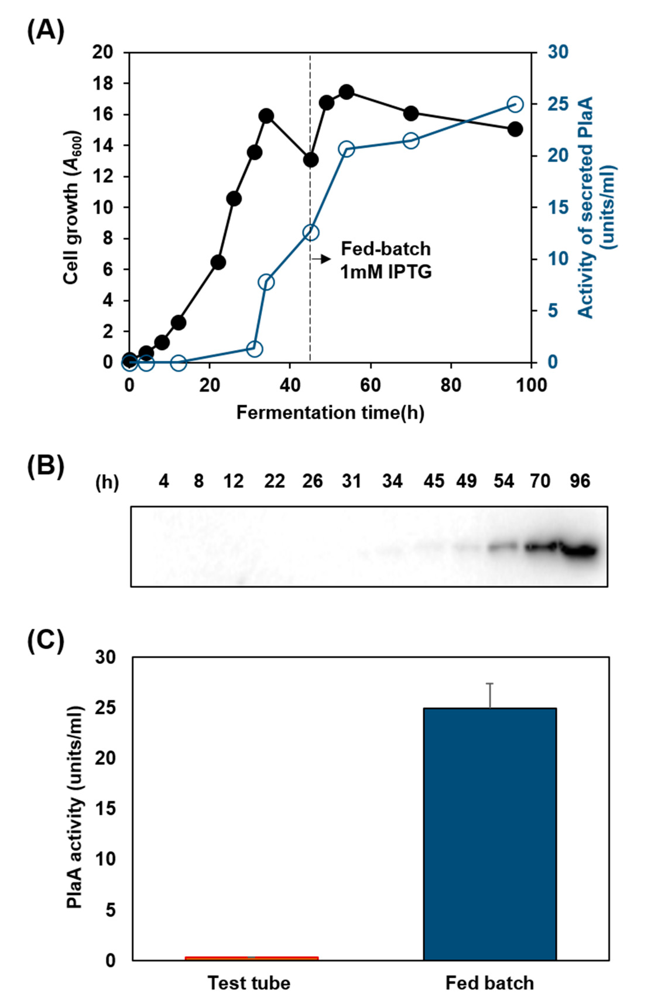 Microorganisms 08 00239 g004