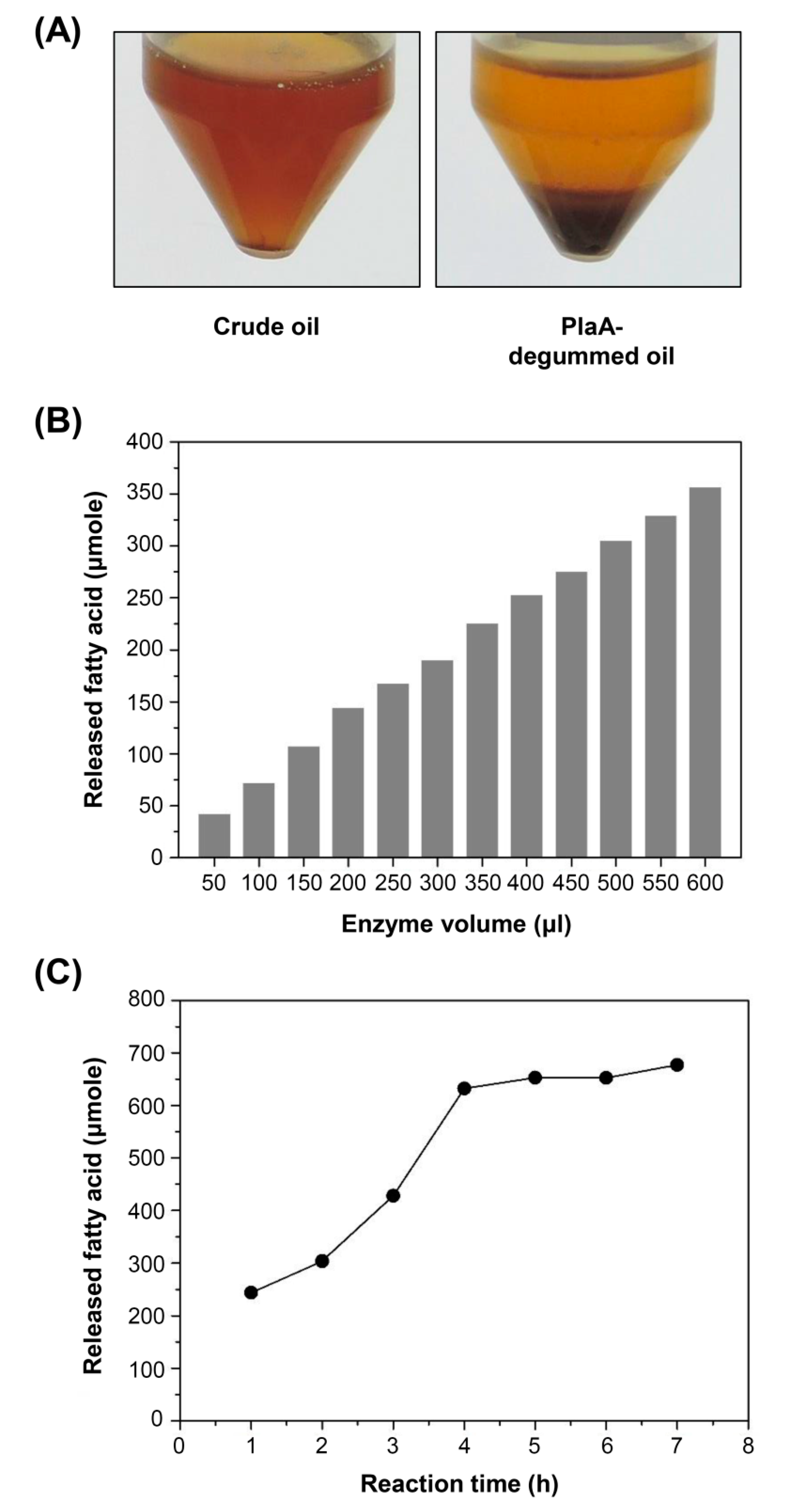 Microorganisms 08 00239 g005