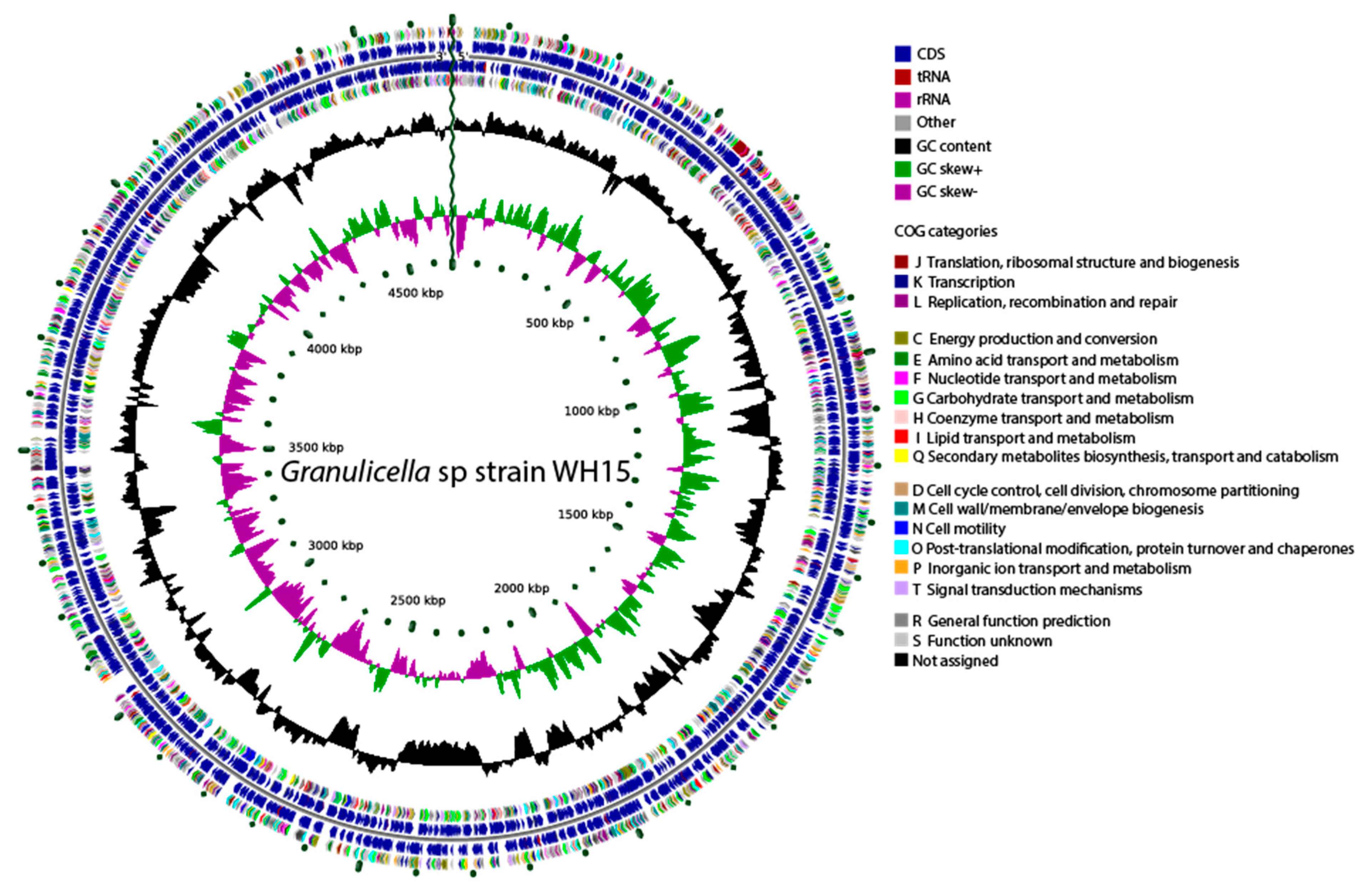Microorganisms 08 00244 g002
