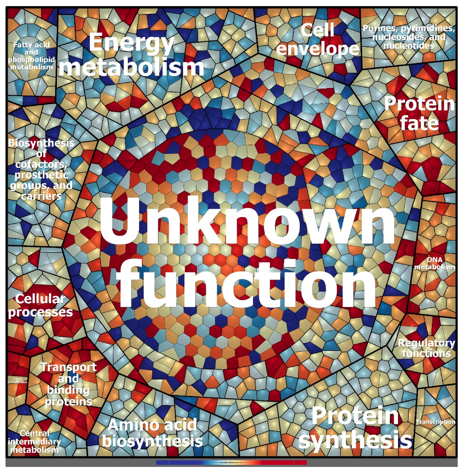 Microorganisms 08 00244 g005