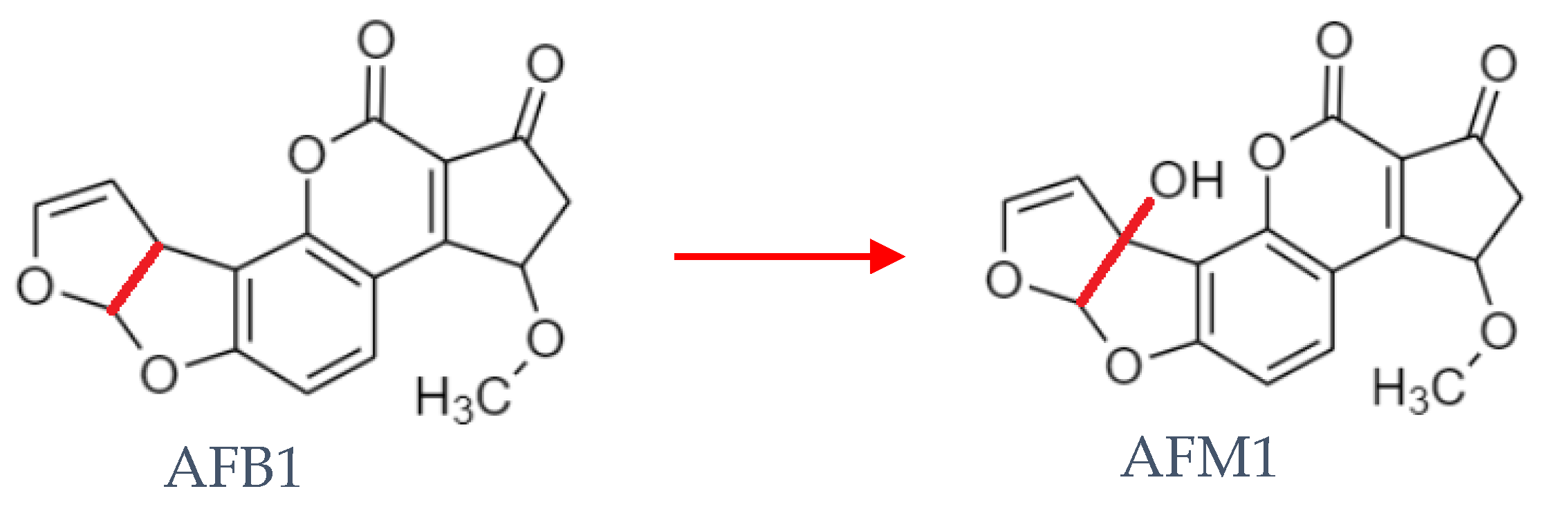 Microorganisms 08 00246 g001
