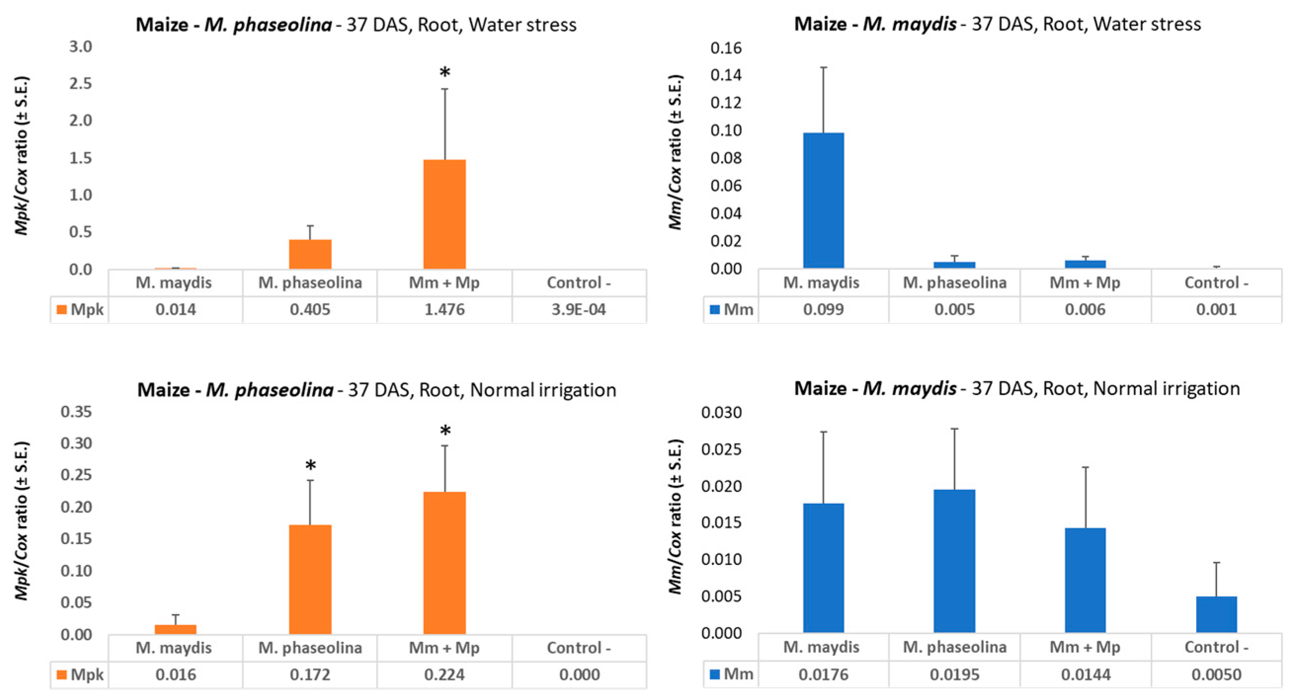 Microorganisms 08 00249 g002