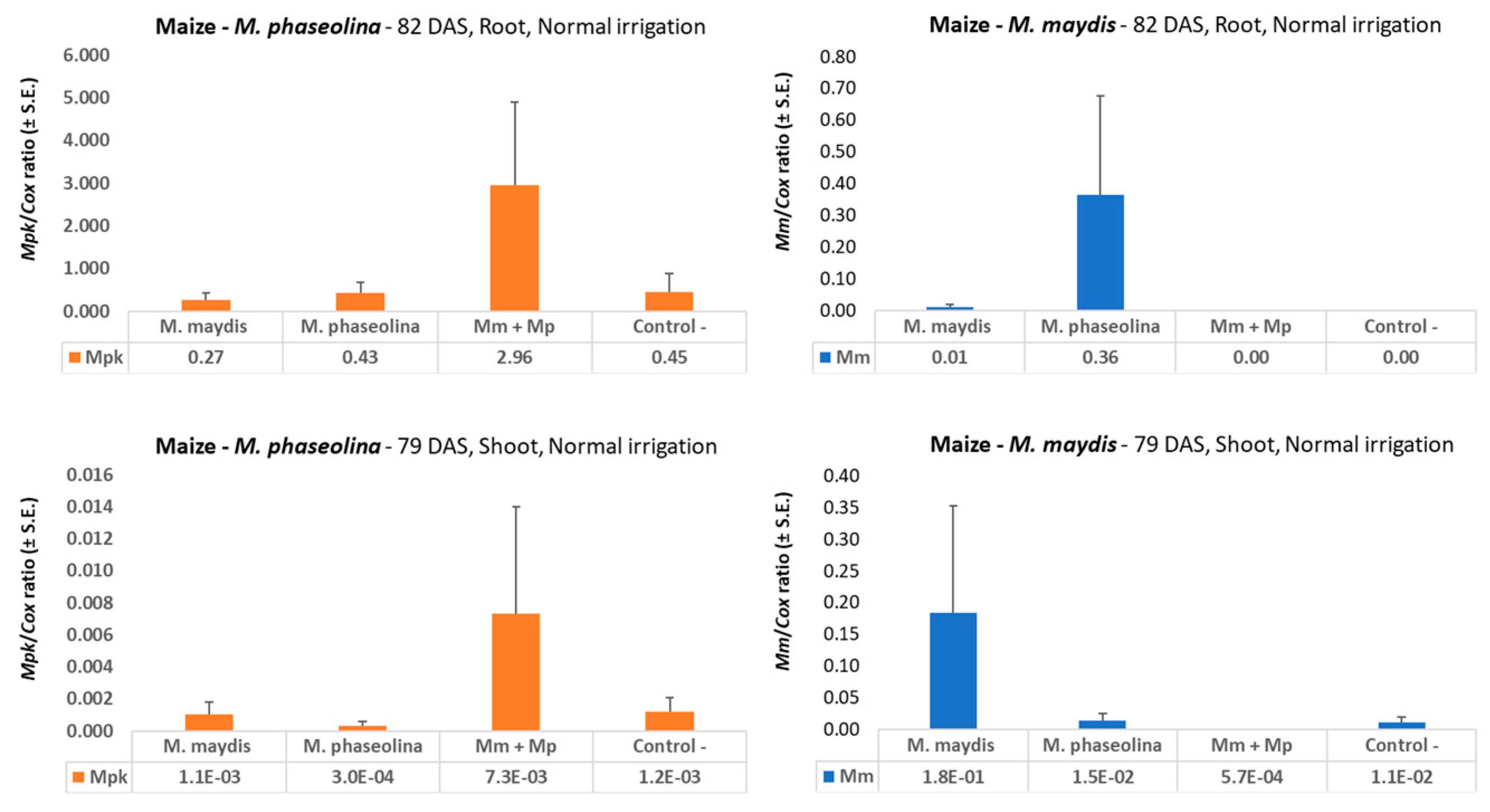 Microorganisms 08 00249 g003