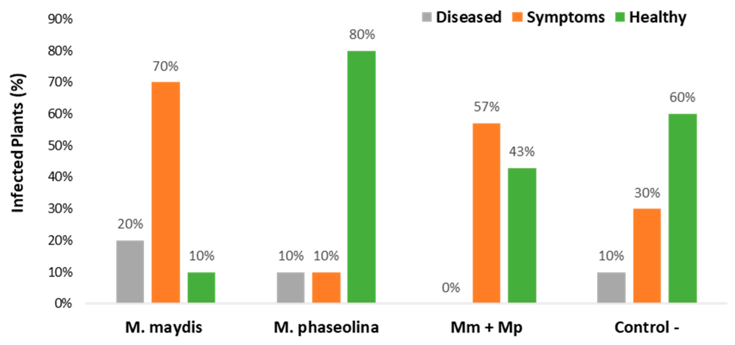 Microorganisms 08 00249 g005