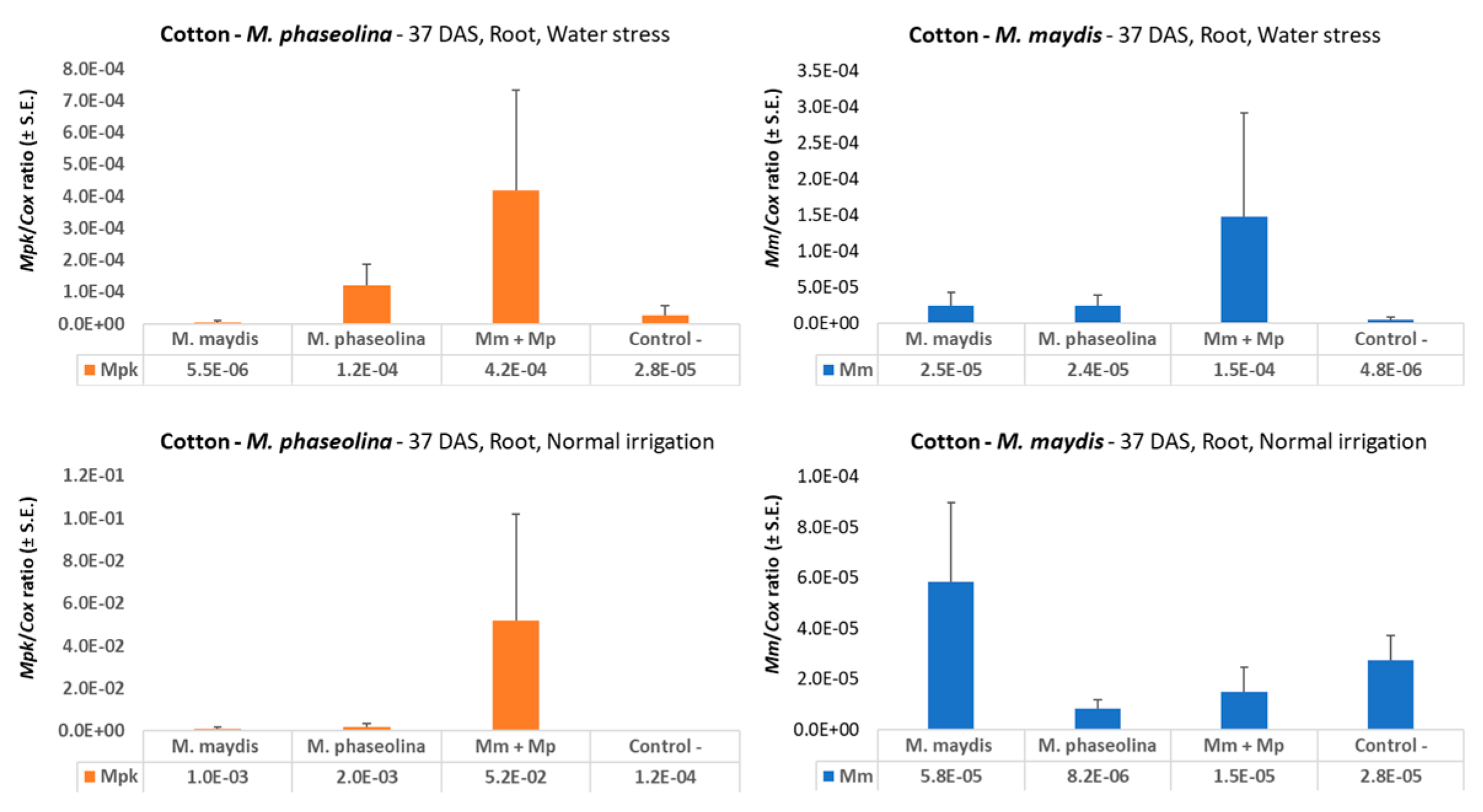Microorganisms 08 00249 g007