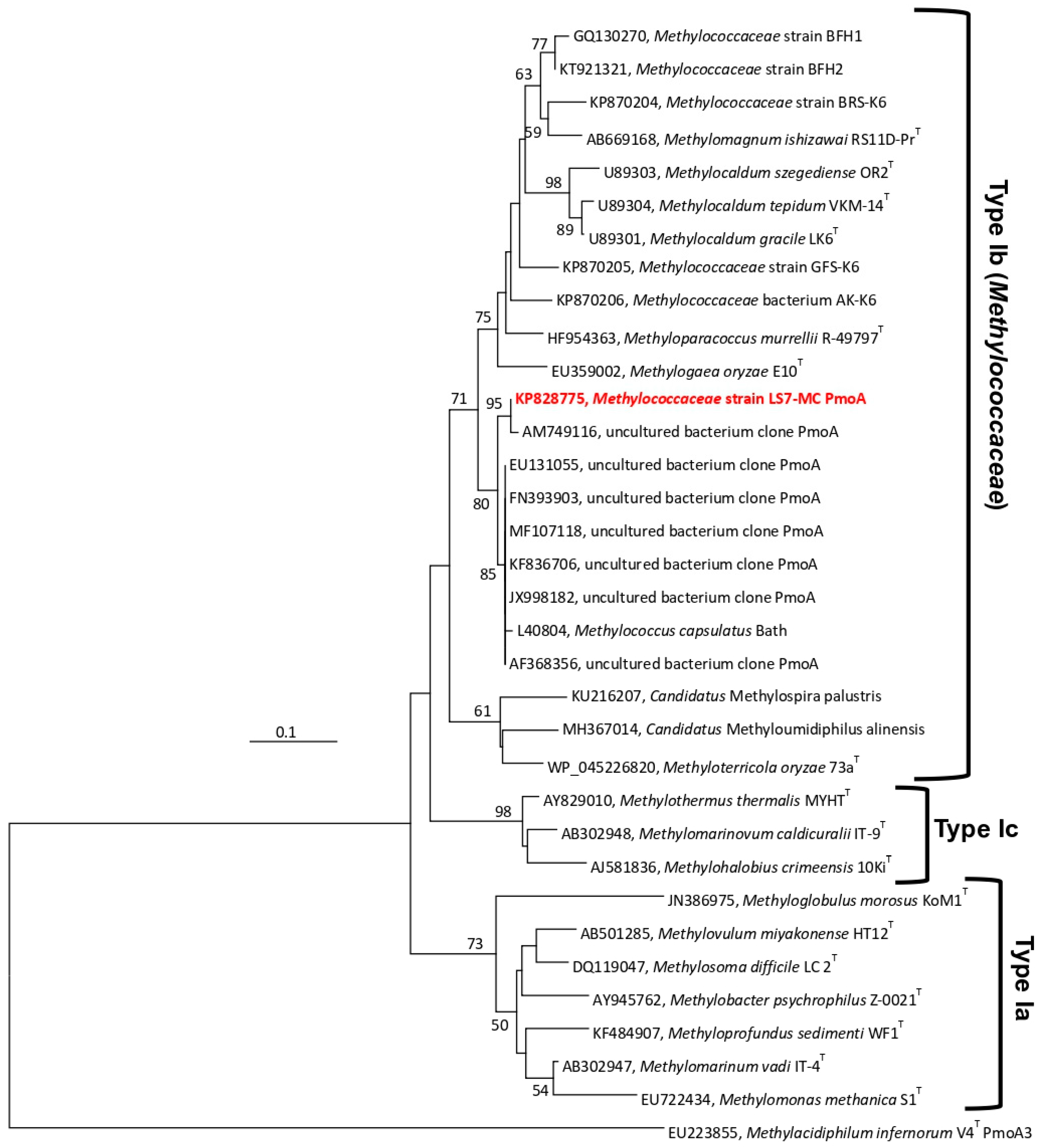 Microorganisms 08 00250 g004