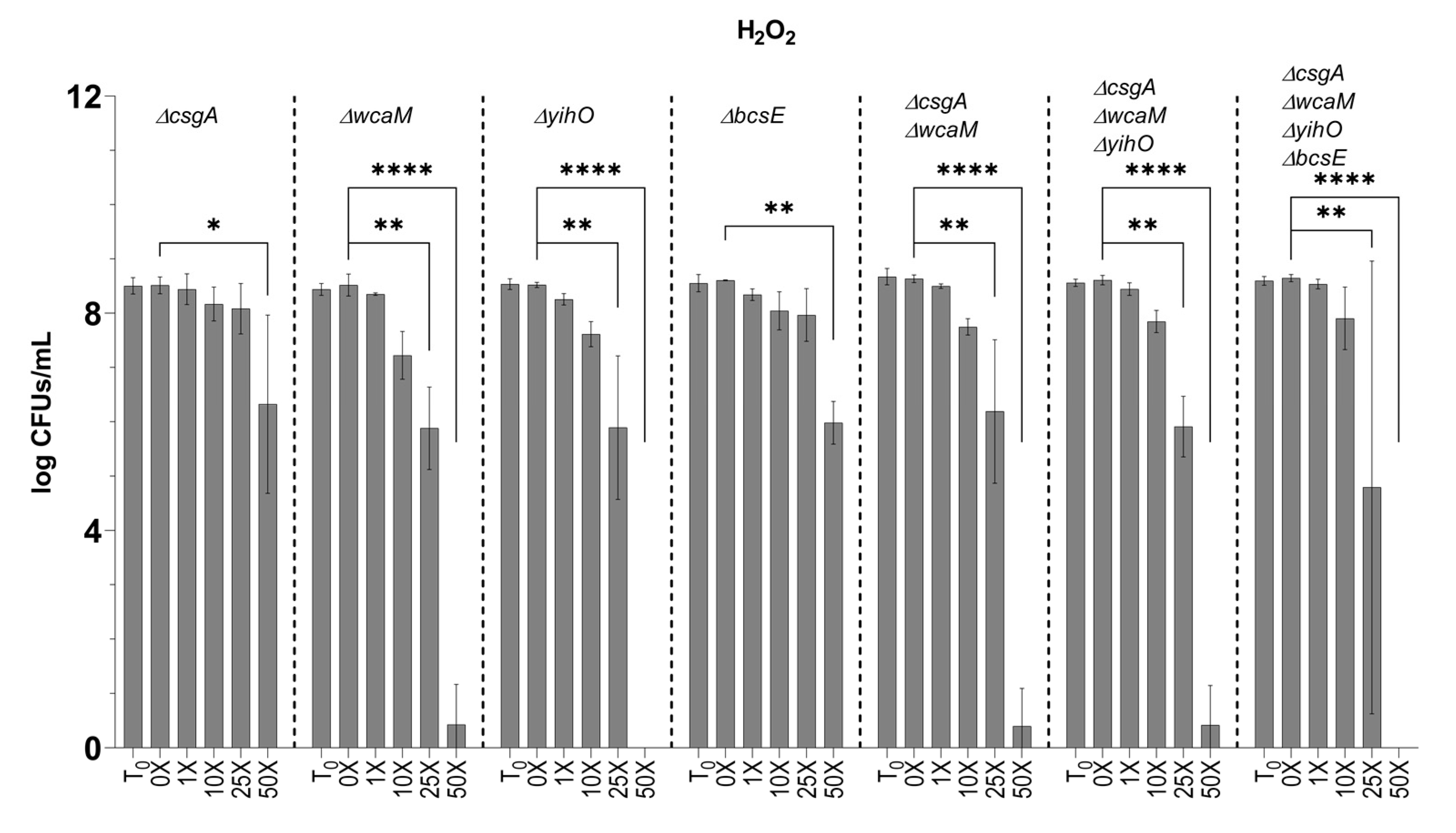 Microorganisms 08 00253 g006
