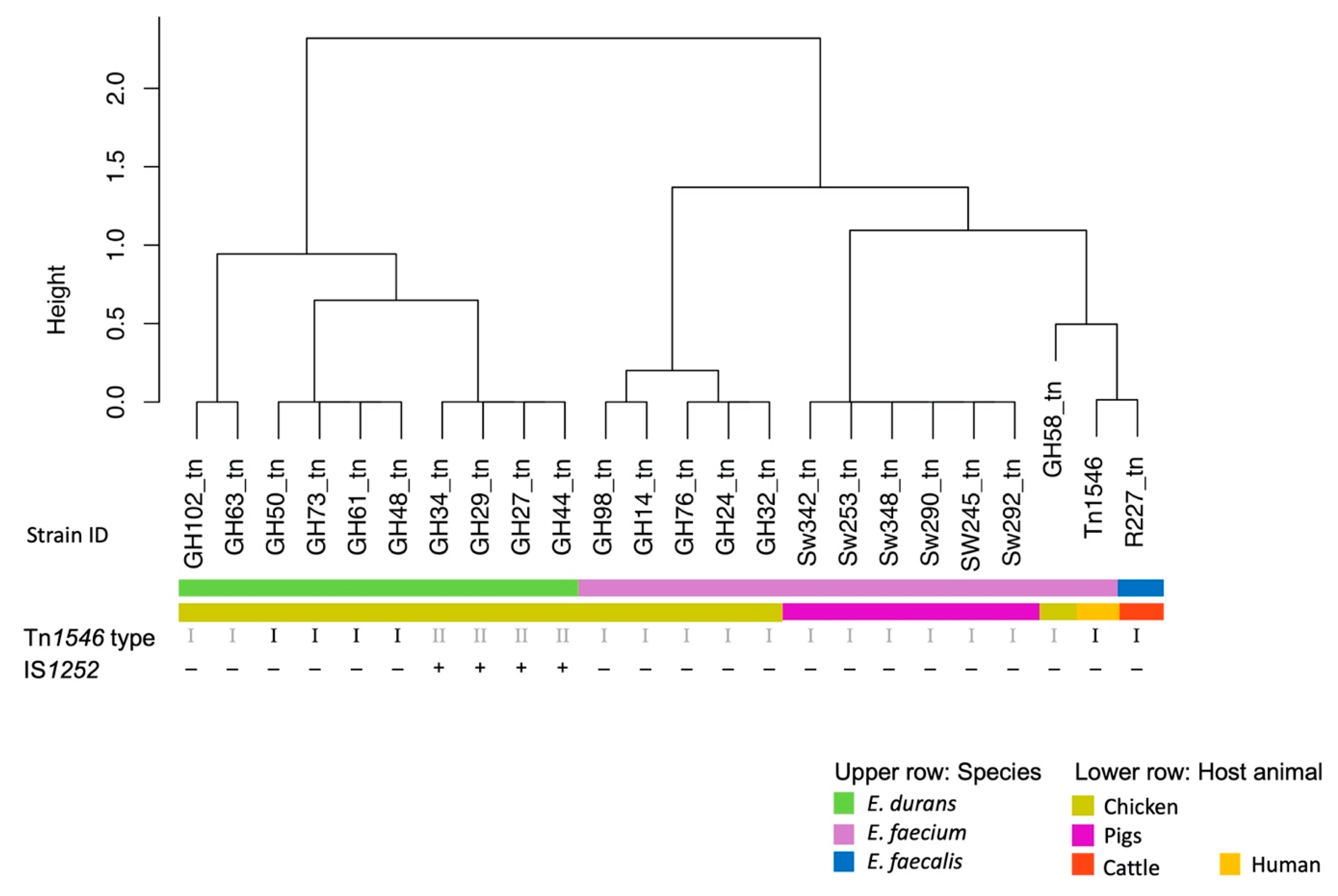 Microorganisms 08 00261 g001