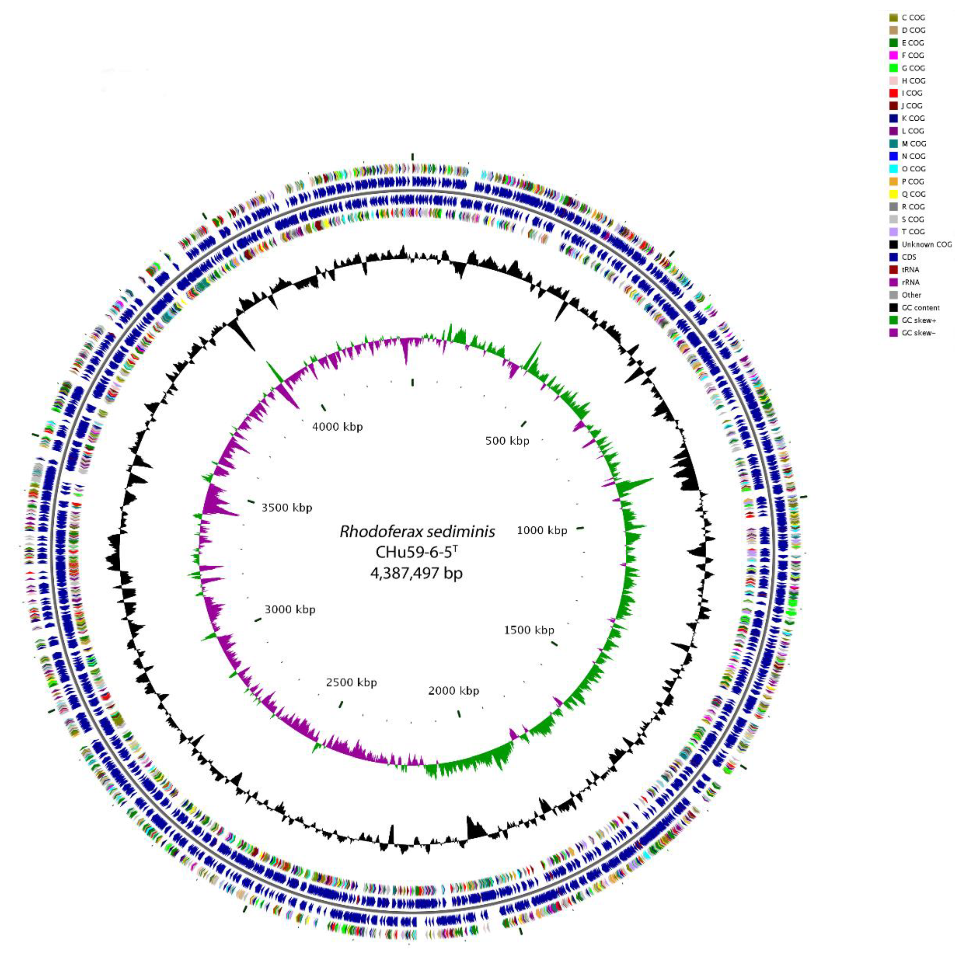 Microorganisms 08 00262 g003
