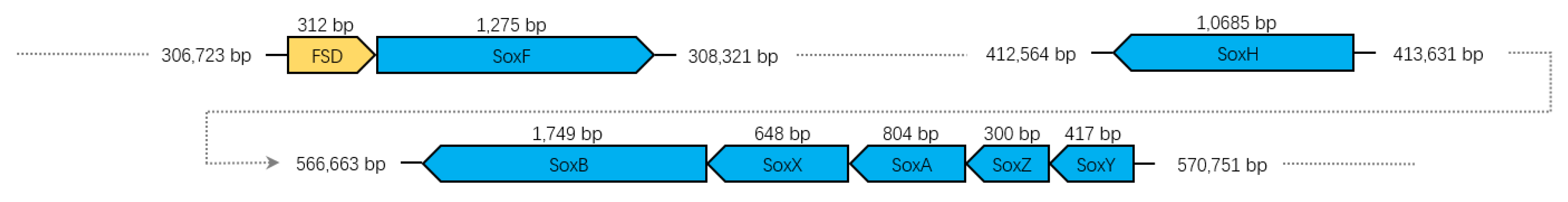 Microorganisms 08 00262 g006