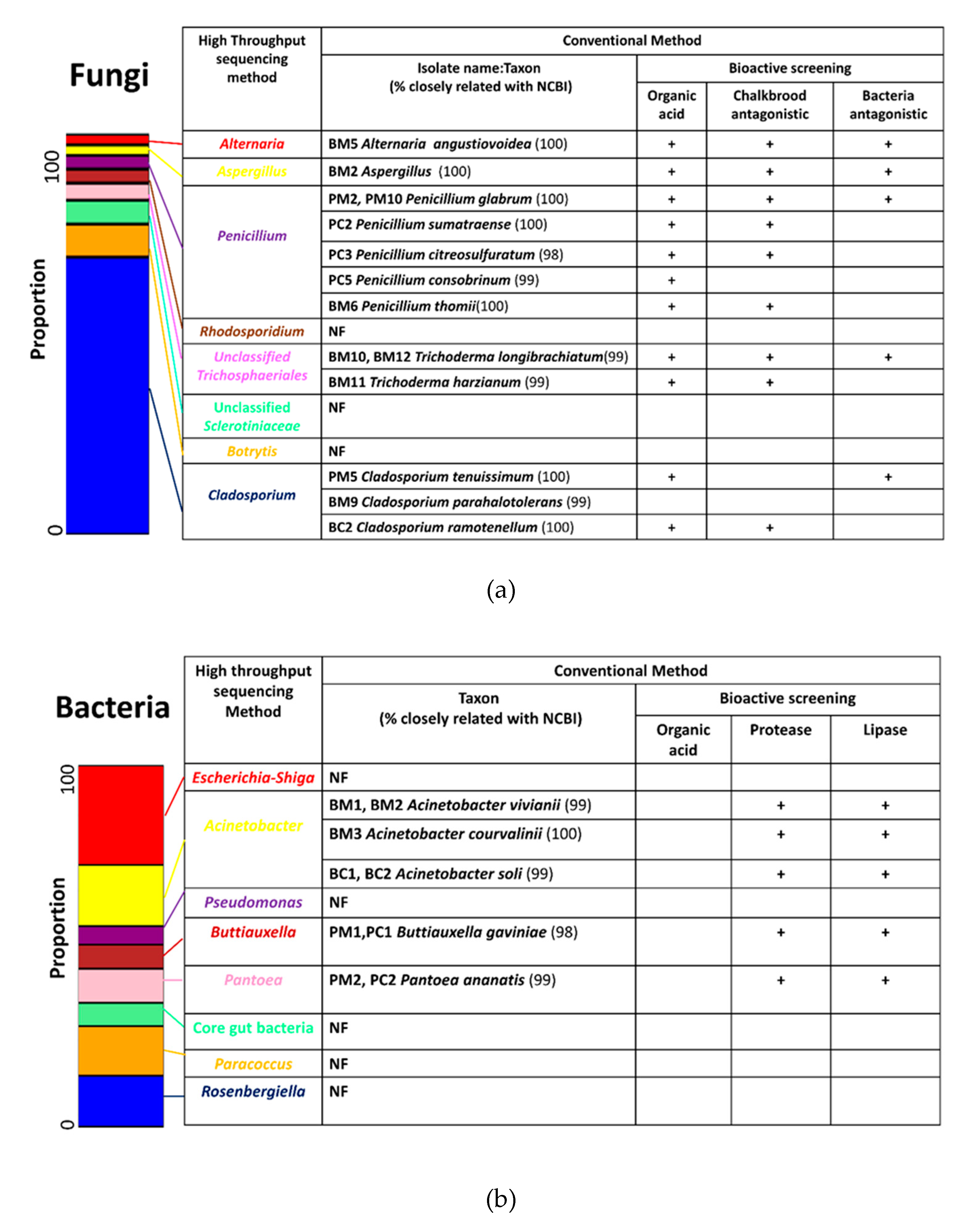 Microorganisms 08 00264 g004