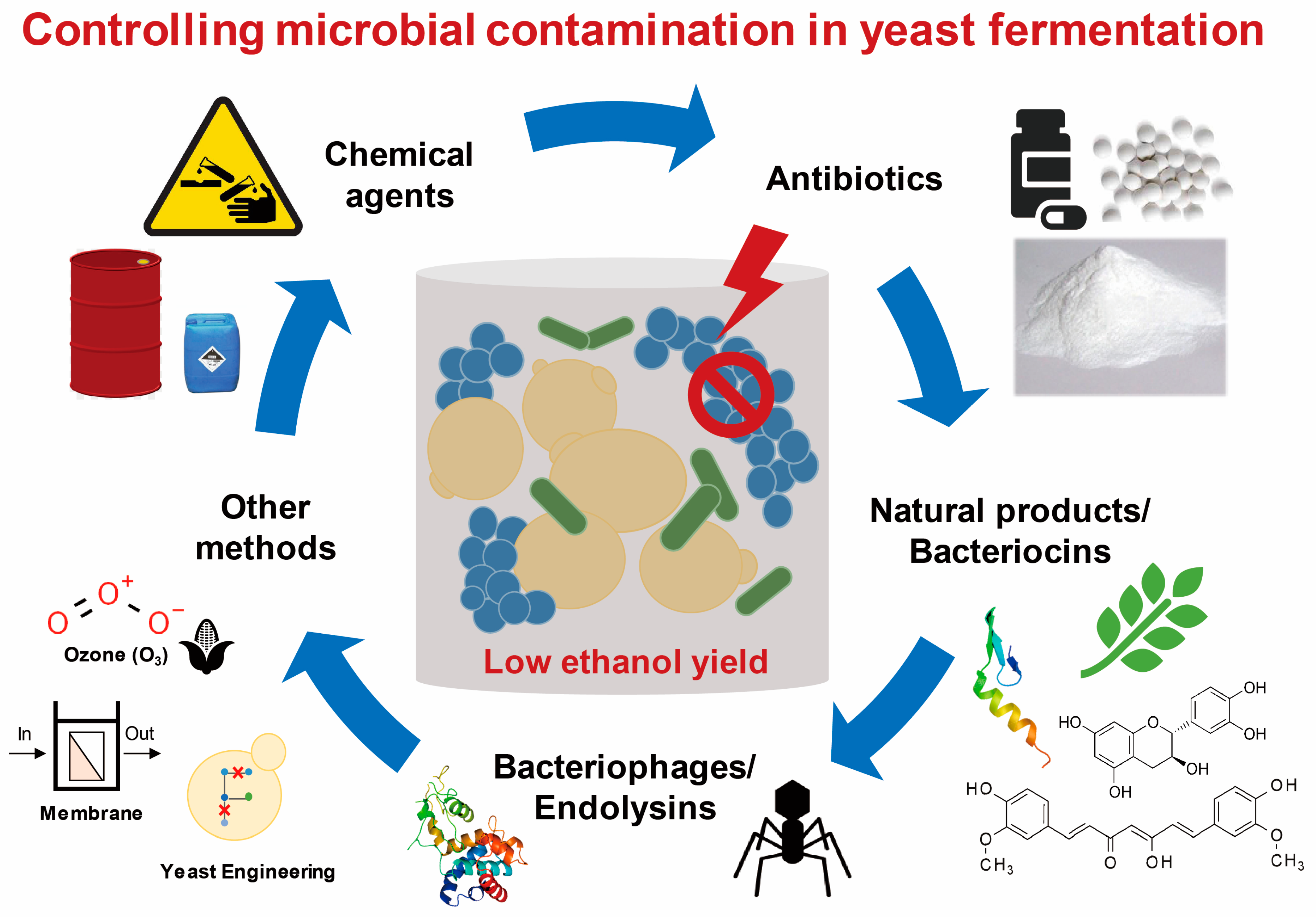Microorganisms 08 00274 g001