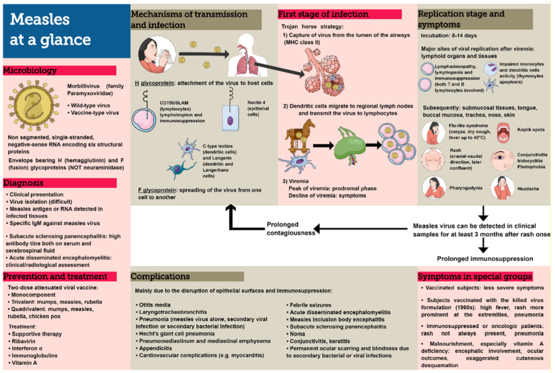 Microorganisms 08 00276 g001