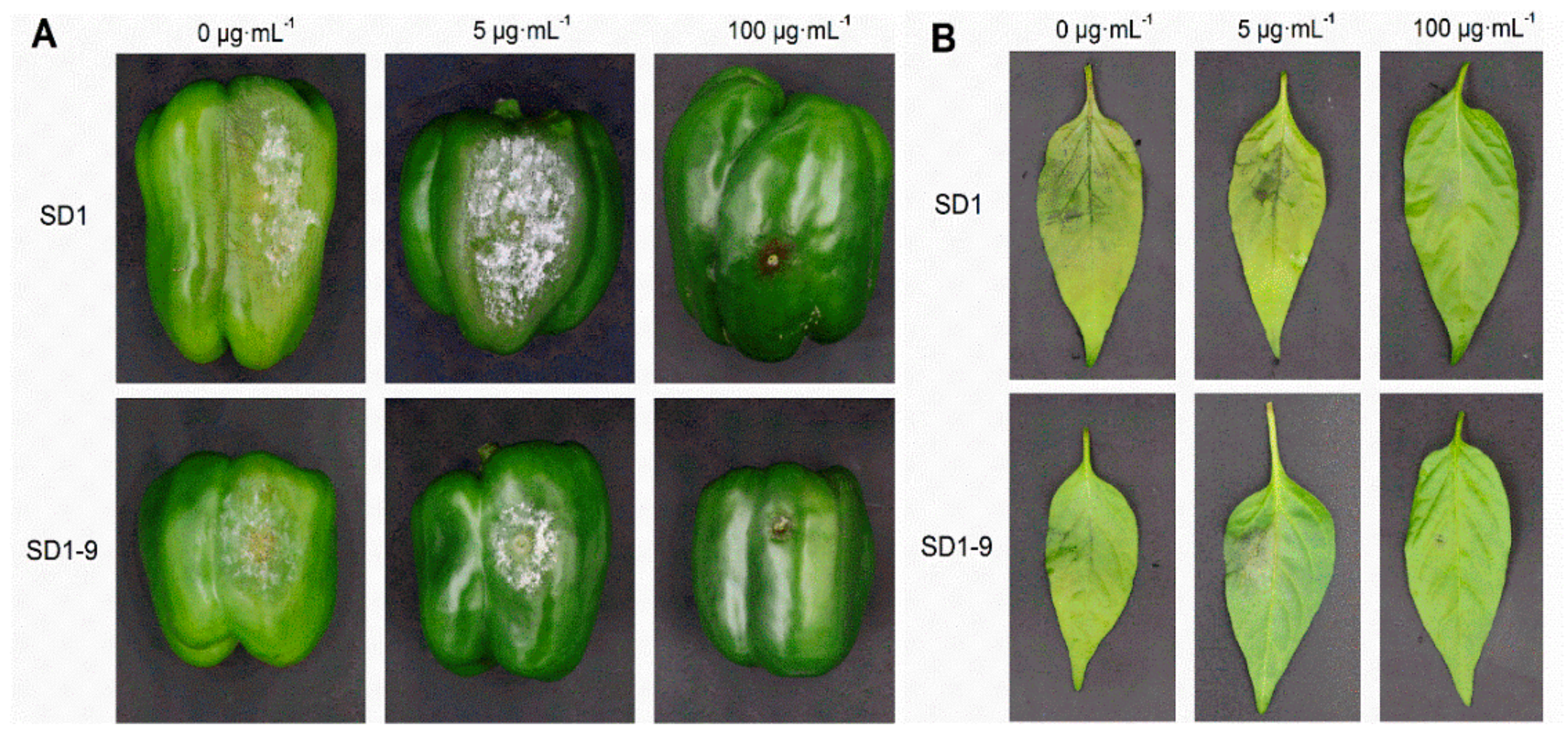 Microorganisms 08 00278 g003