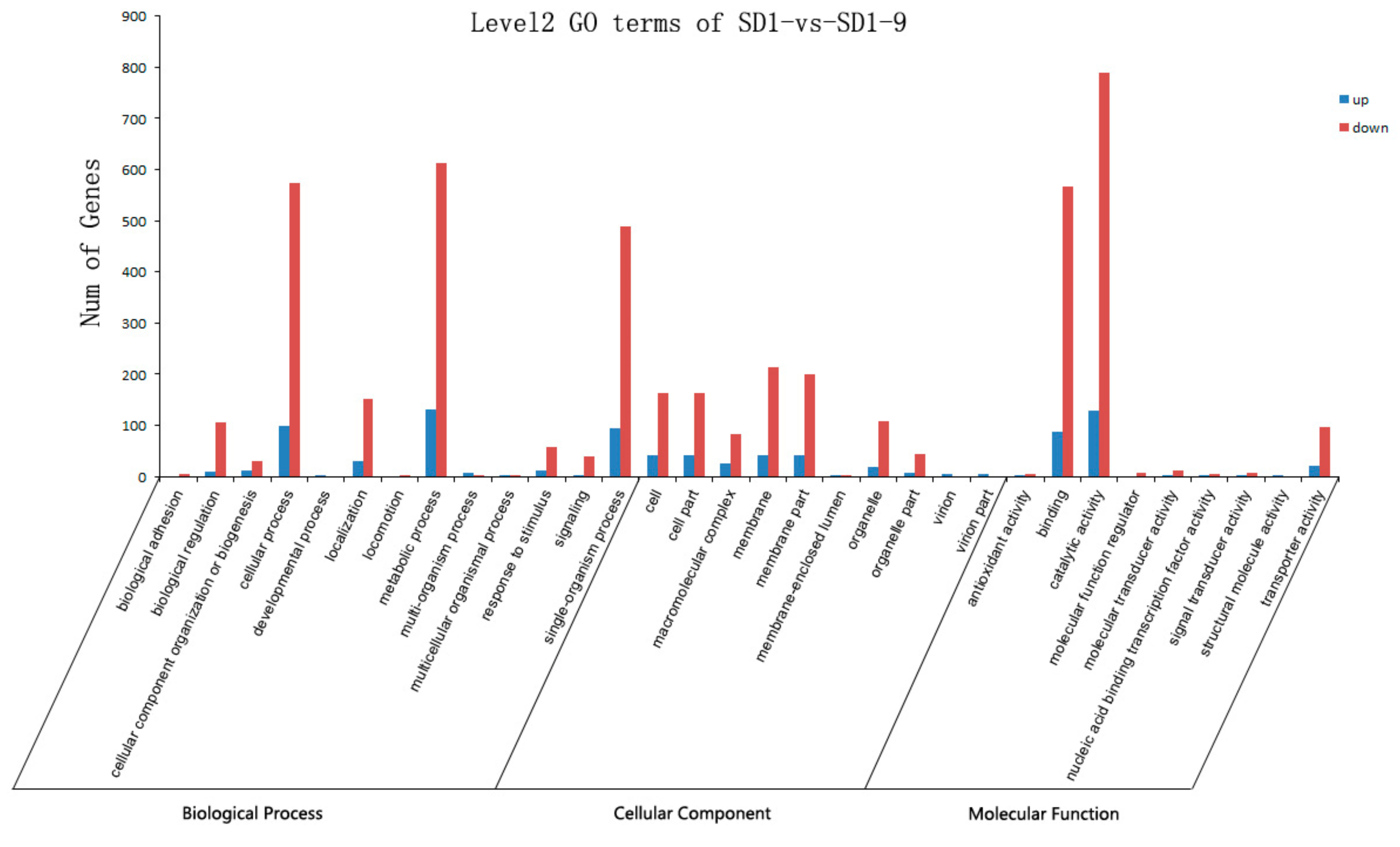Microorganisms 08 00278 g006